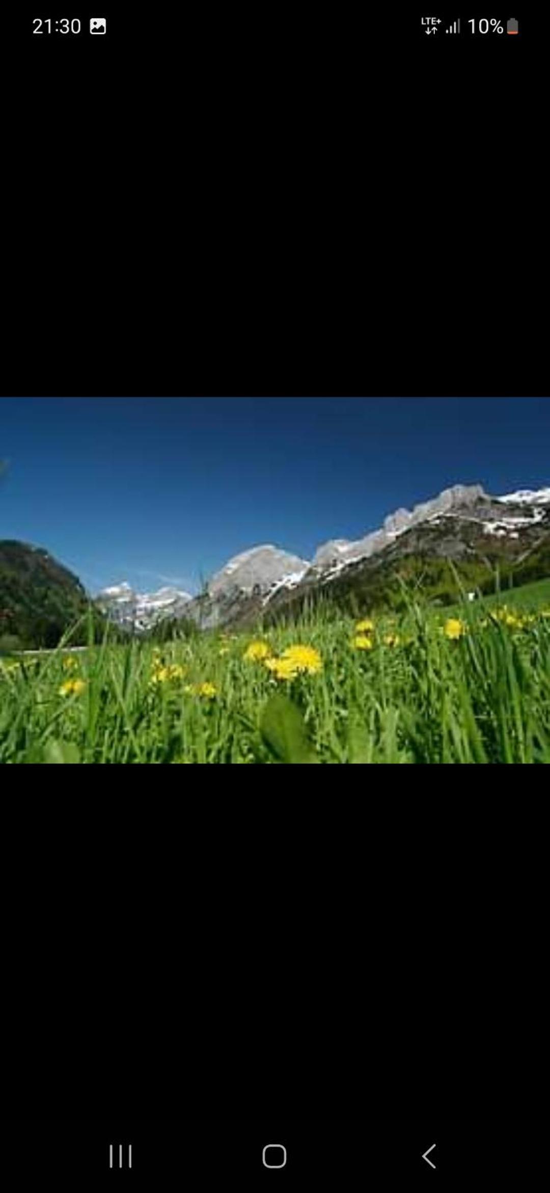 Bergliebe