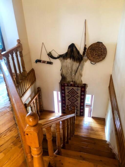 6 Bedroom Villa in Qabala