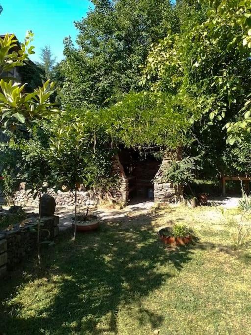 6 Bedroom Villa in Qabala