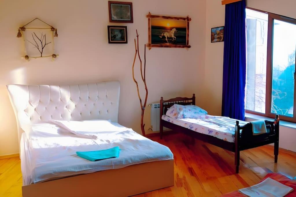 6 Bedroom Villa in Qabala