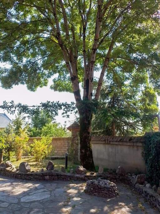 6 Bedroom Villa in Qabala