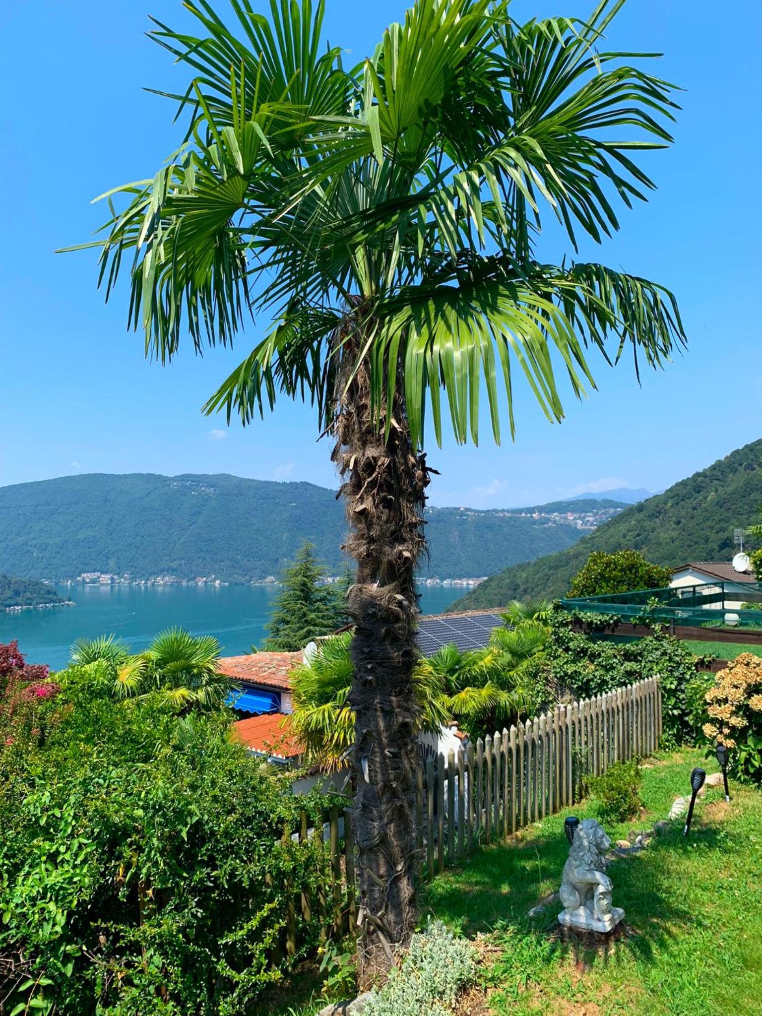 Casa Belvedere Mediterrean