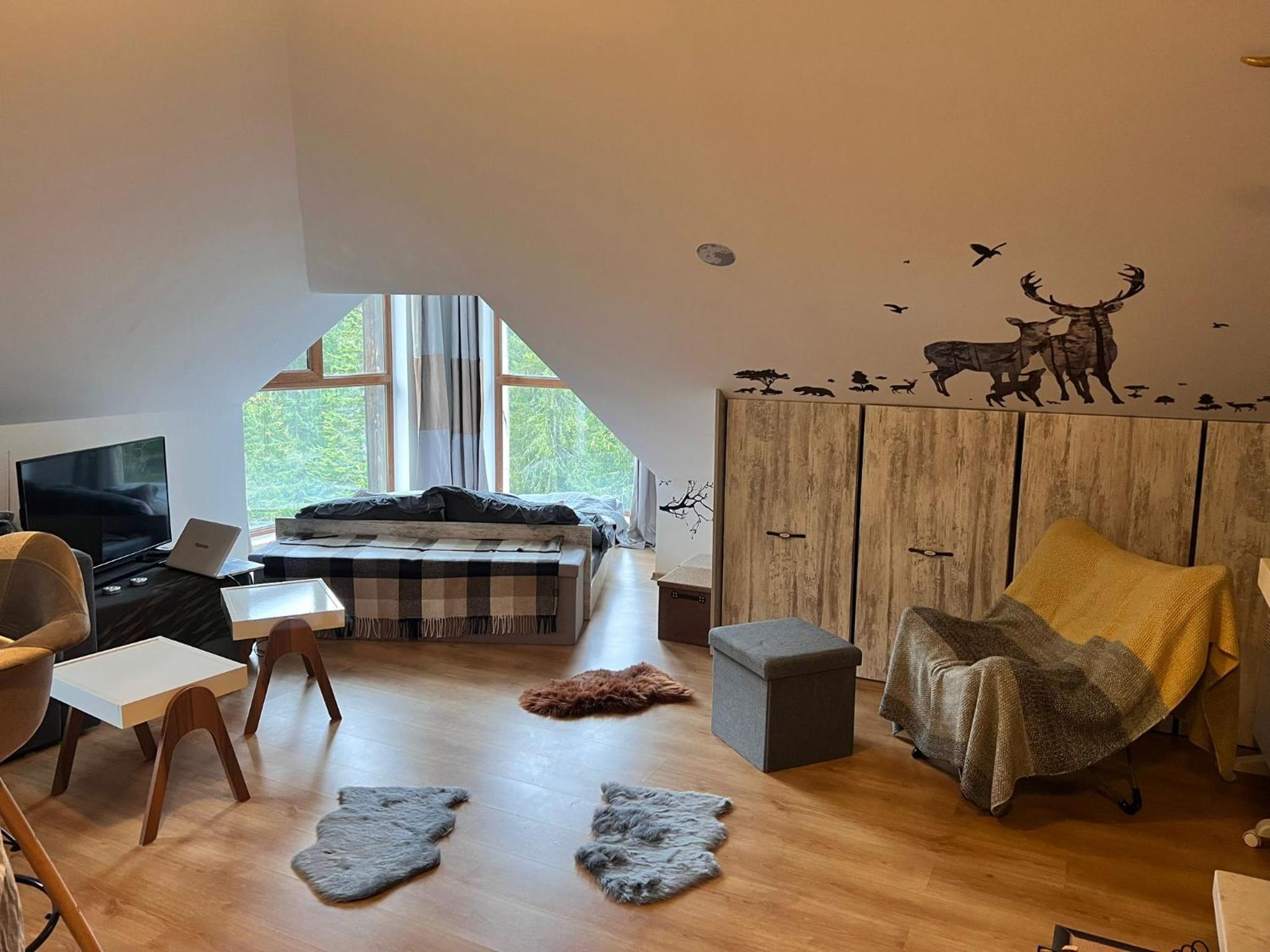 Cozy Studio at The Castle - Pamporovo