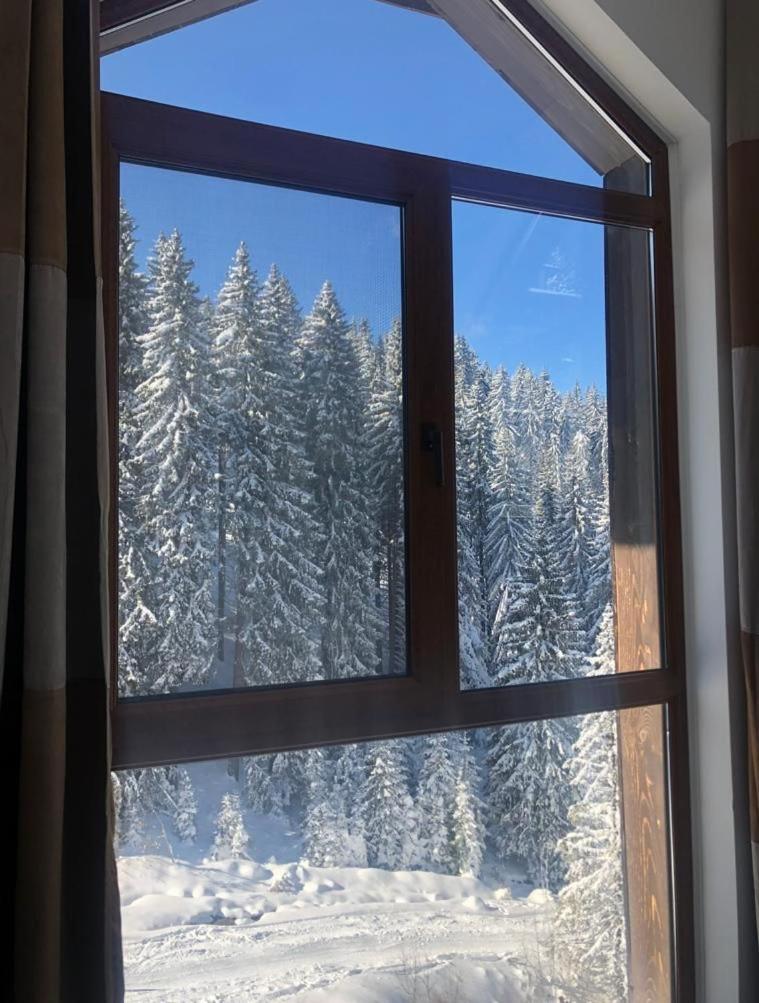 Cozy Studio at The Castle - Pamporovo