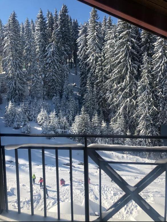 Cozy Studio at The Castle - Pamporovo