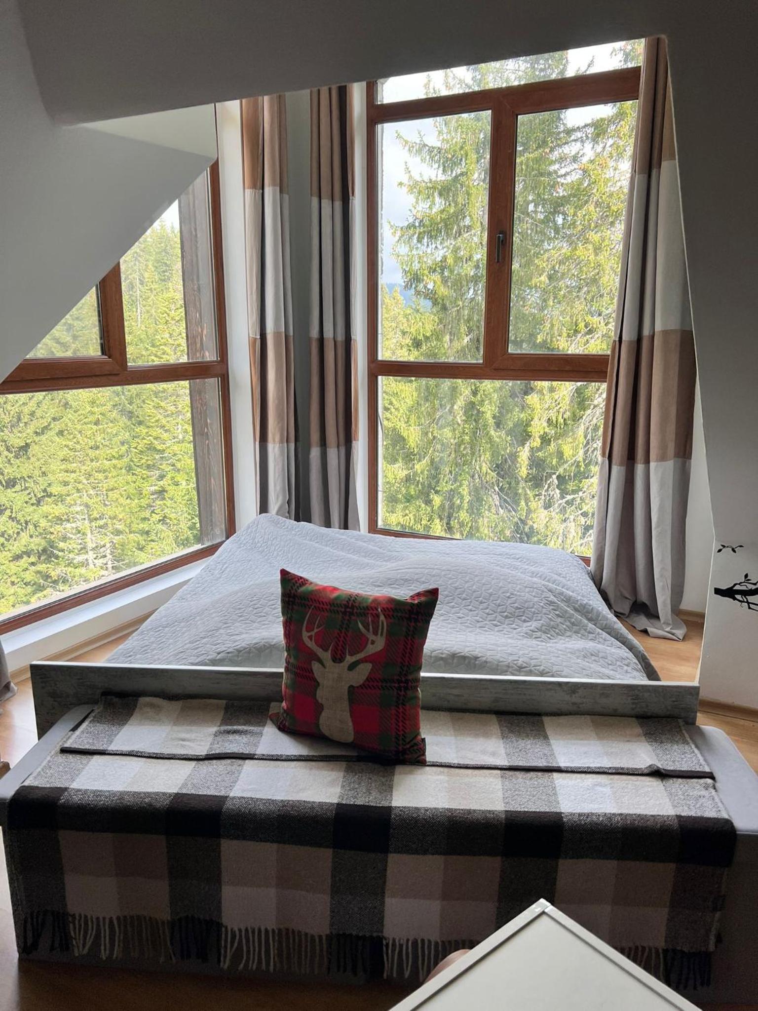 Cozy Studio at The Castle - Pamporovo