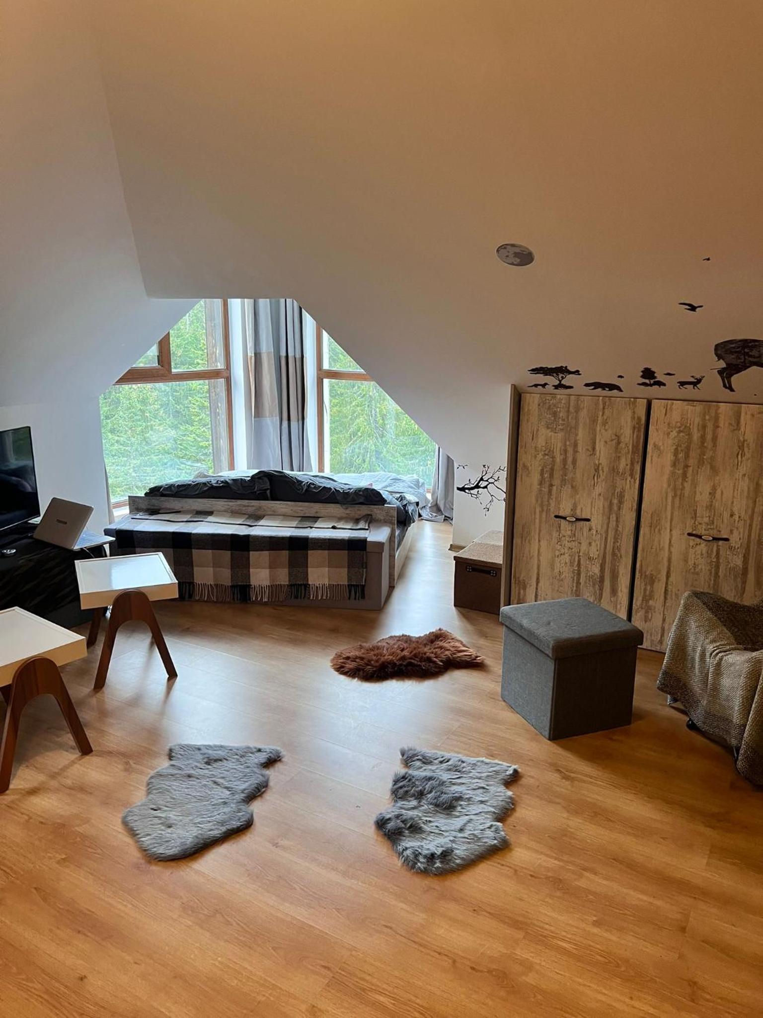 Cozy Studio at The Castle - Pamporovo