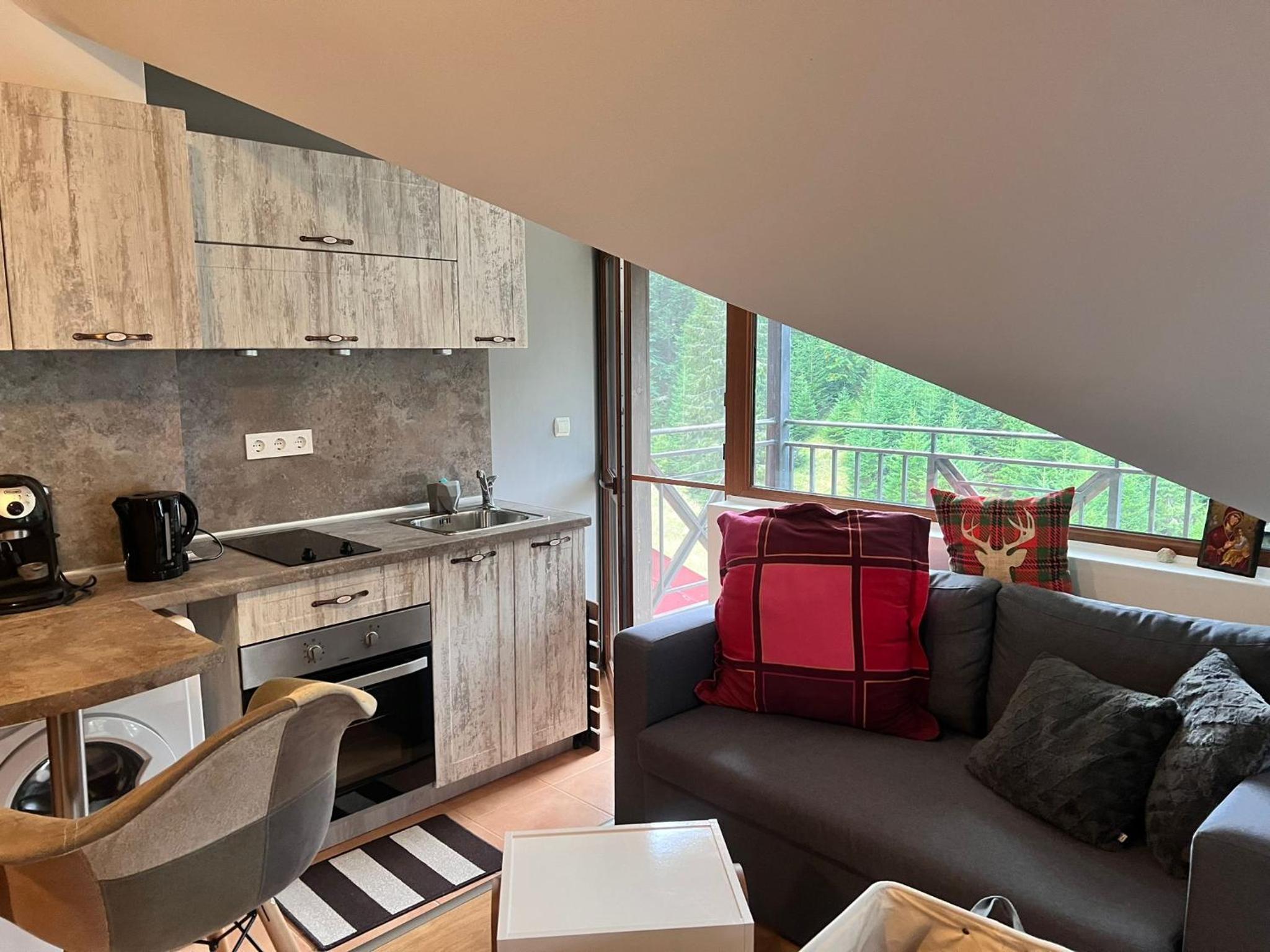 Cozy Studio at The Castle - Pamporovo