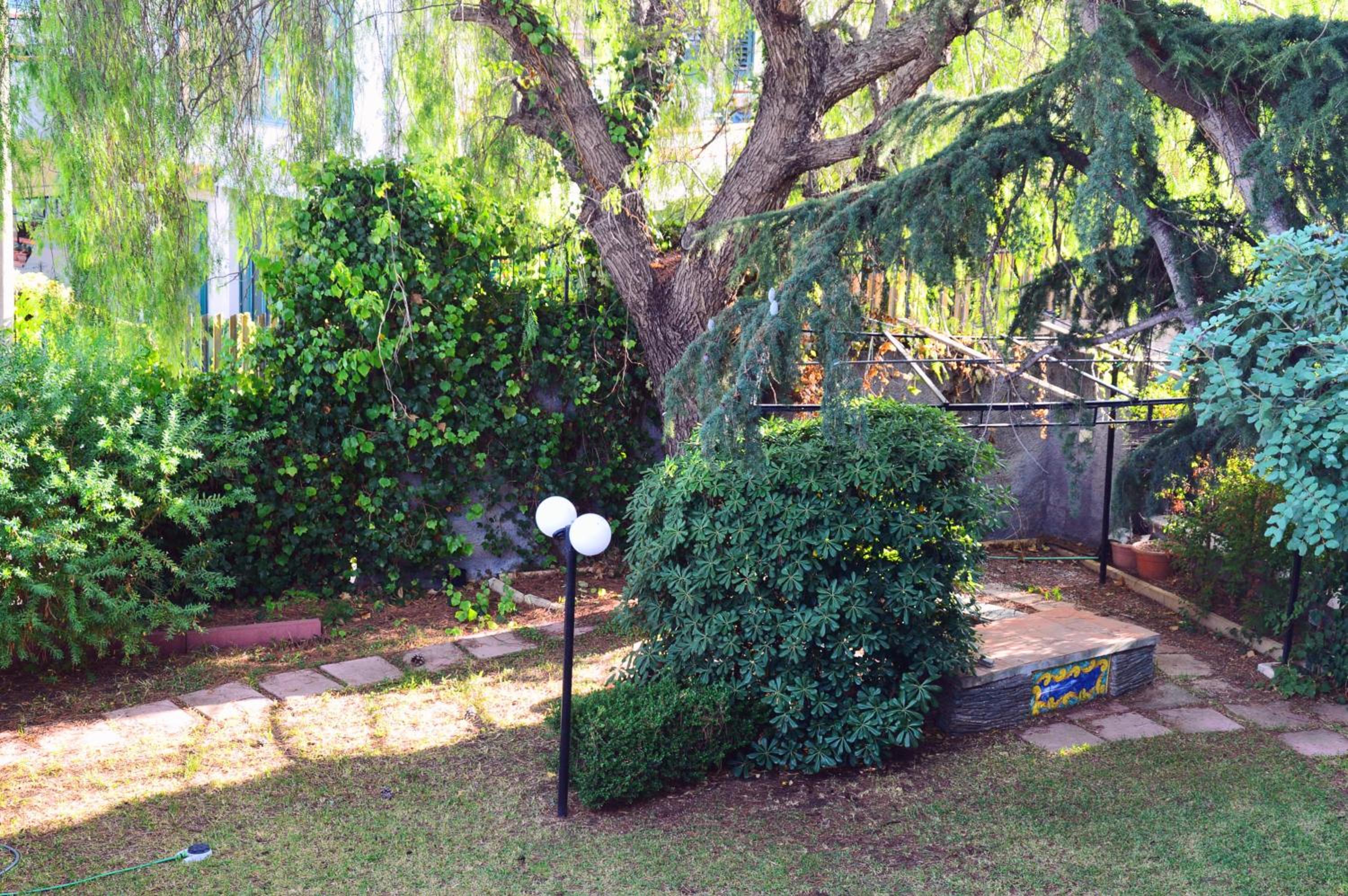 Photo 39