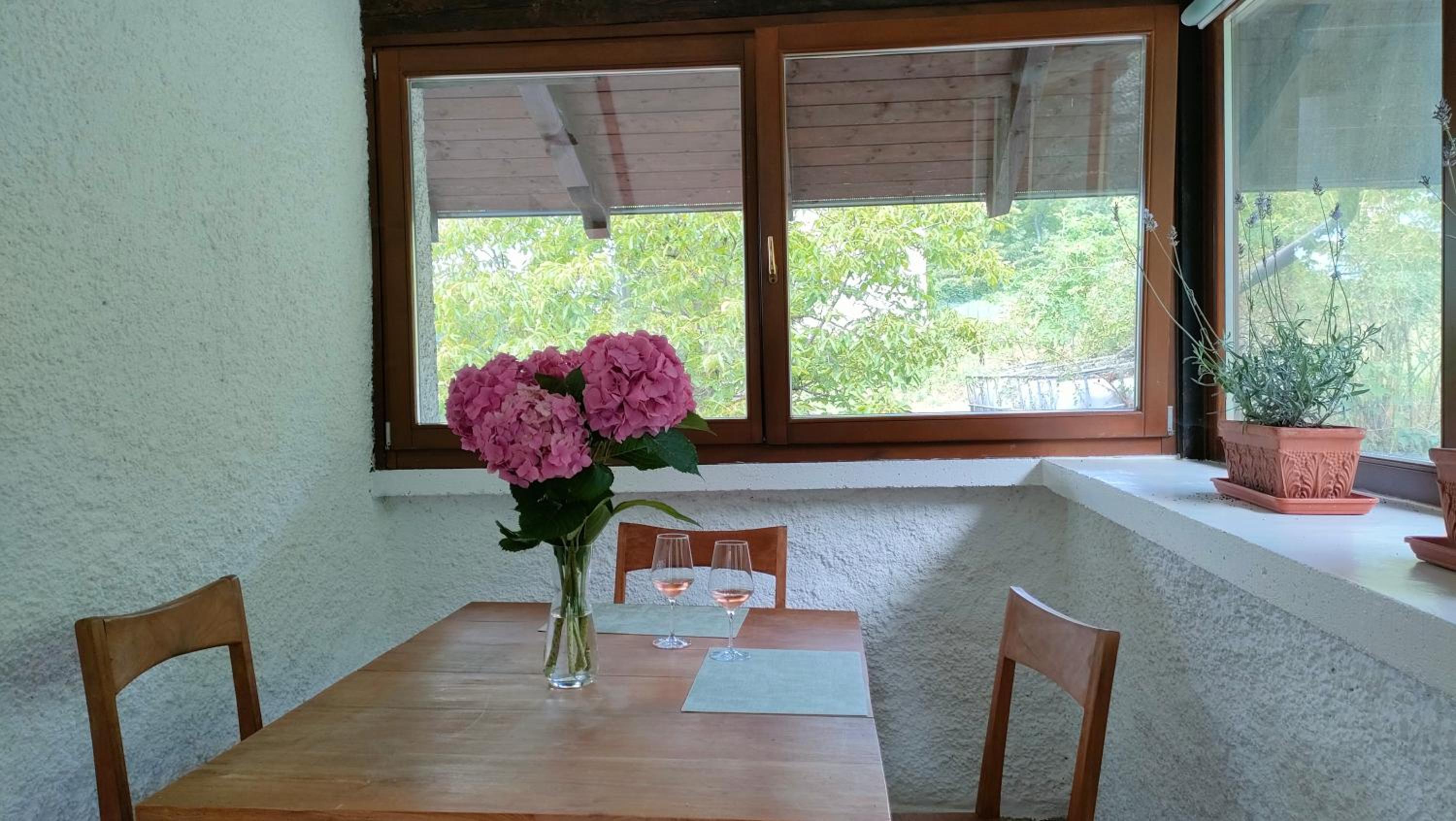 Agritur Cantina Romanese view 3
