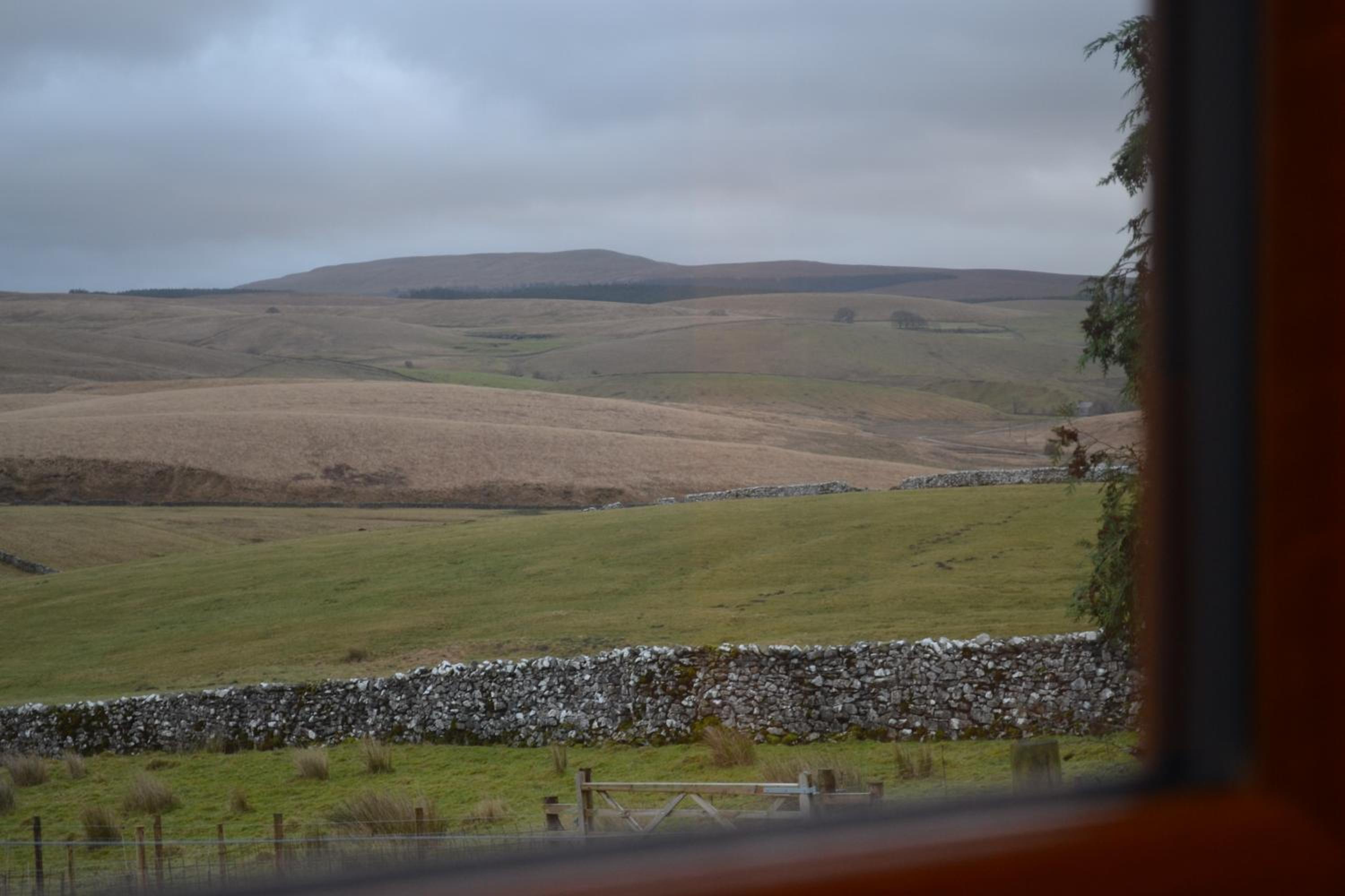 Photo 43