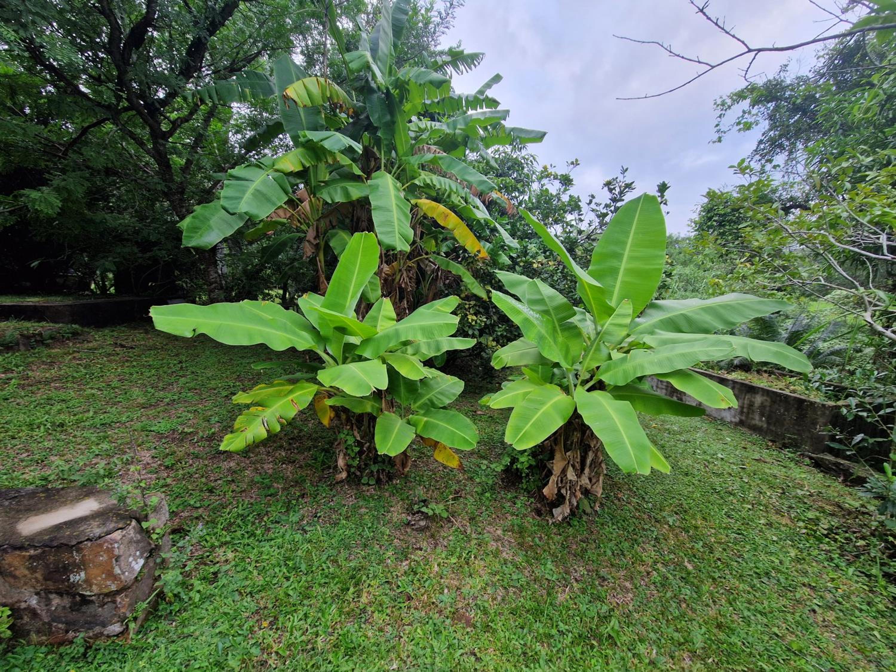 Casa-Miri . Com view 3