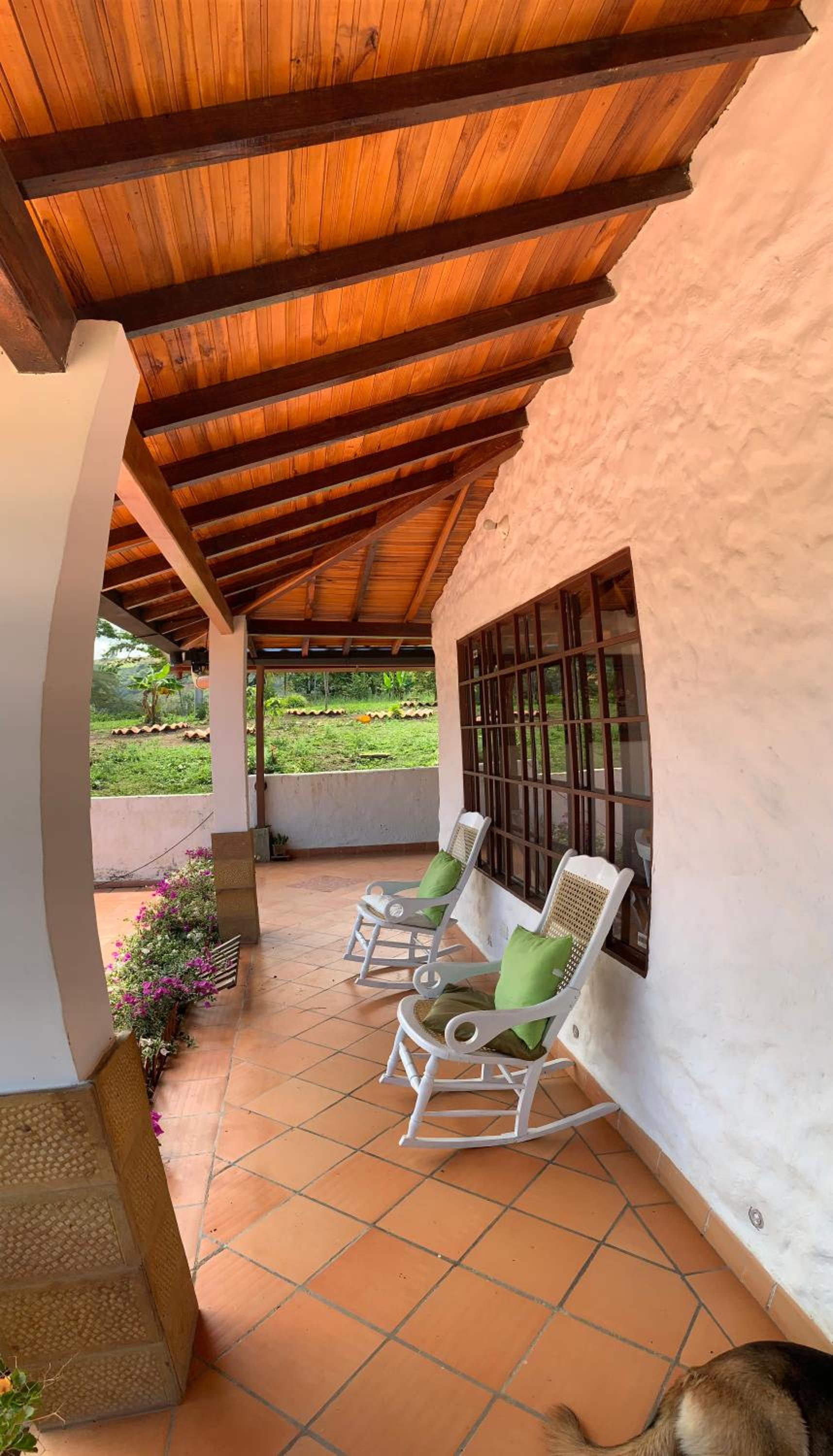 Villa tolu