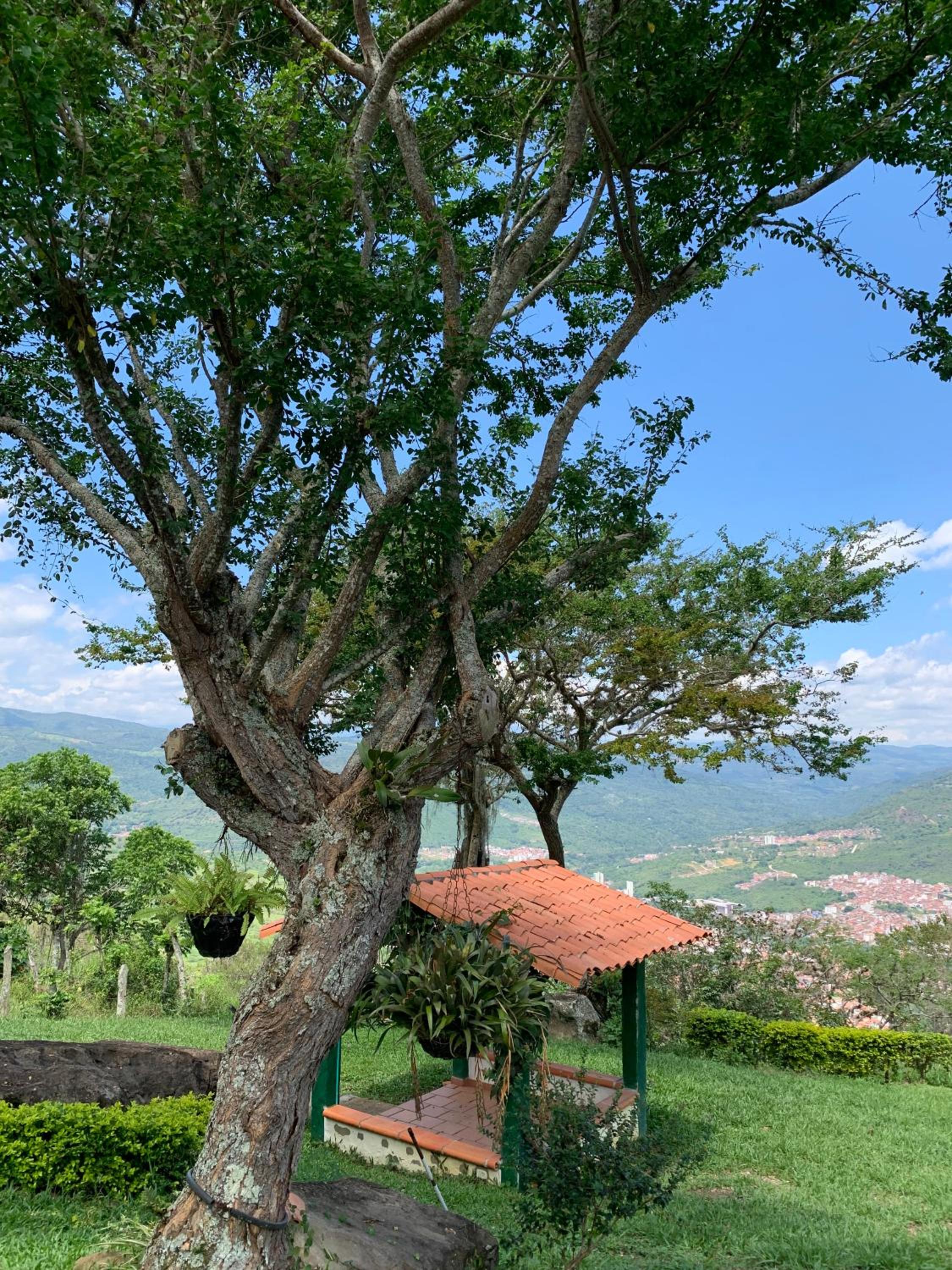 Villa tolu