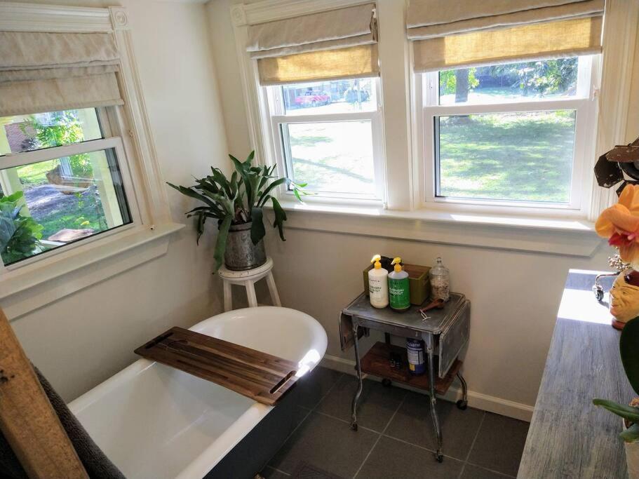 Laurel Vacations - Gingerbird Art Suite - Property Image 36