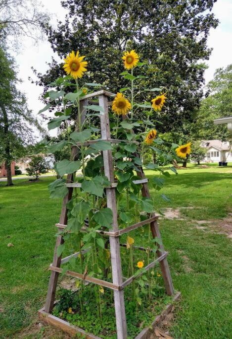 Laurel Vacations - Gingerbird Art Suite - Property Image 6