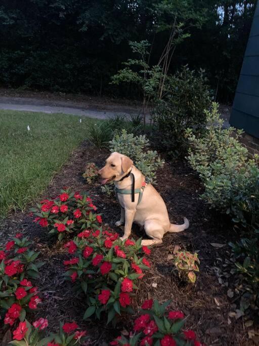 Laurel Vacations - Gingerbird Art Suite - Property Image 9