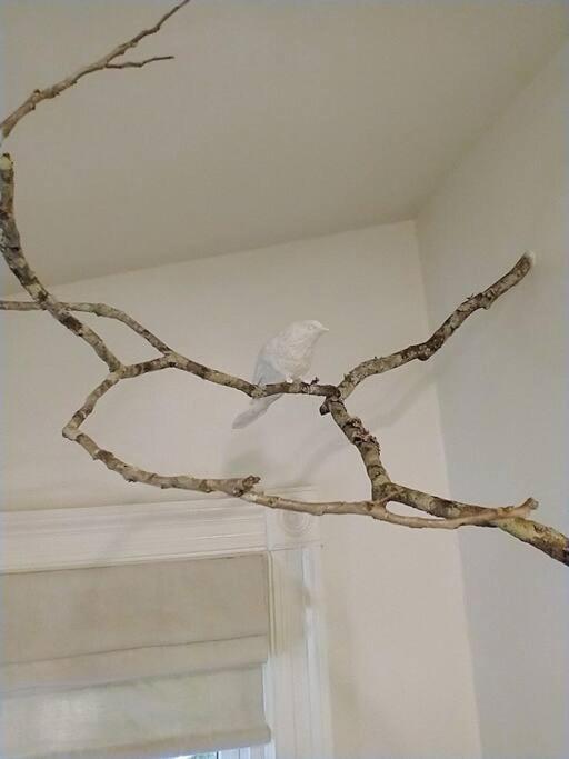 Laurel Vacations - Gingerbird Art Suite - Property Image 1