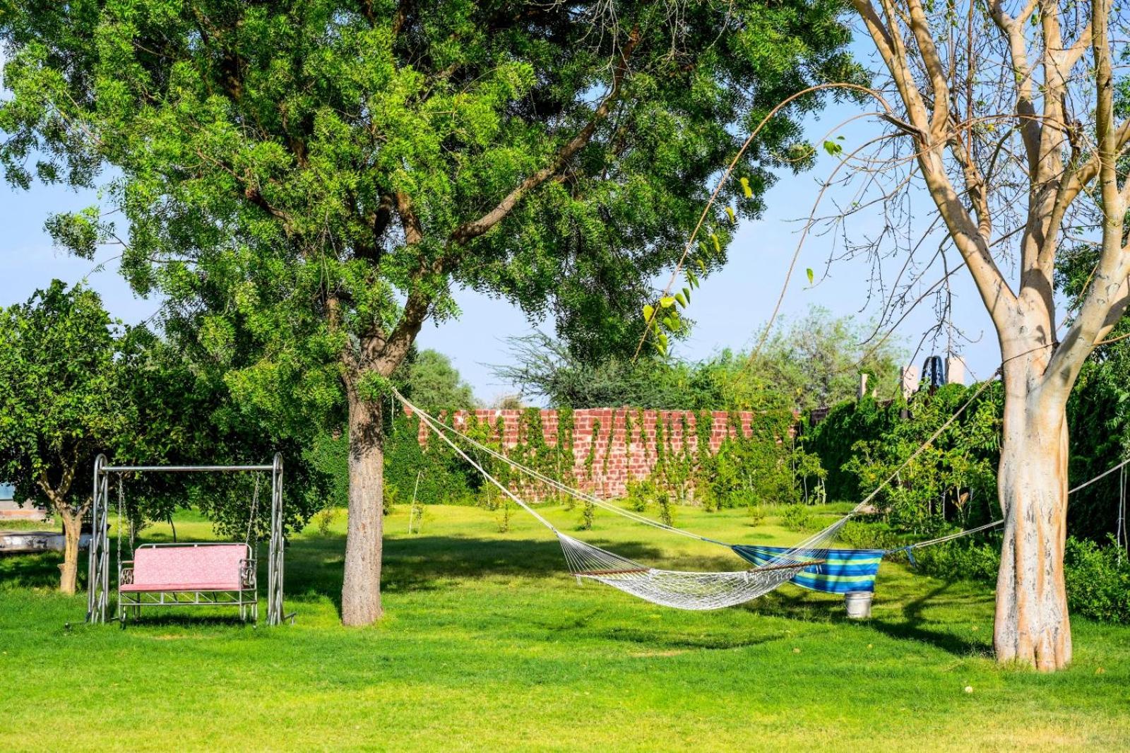 Holiday farm jodhpur