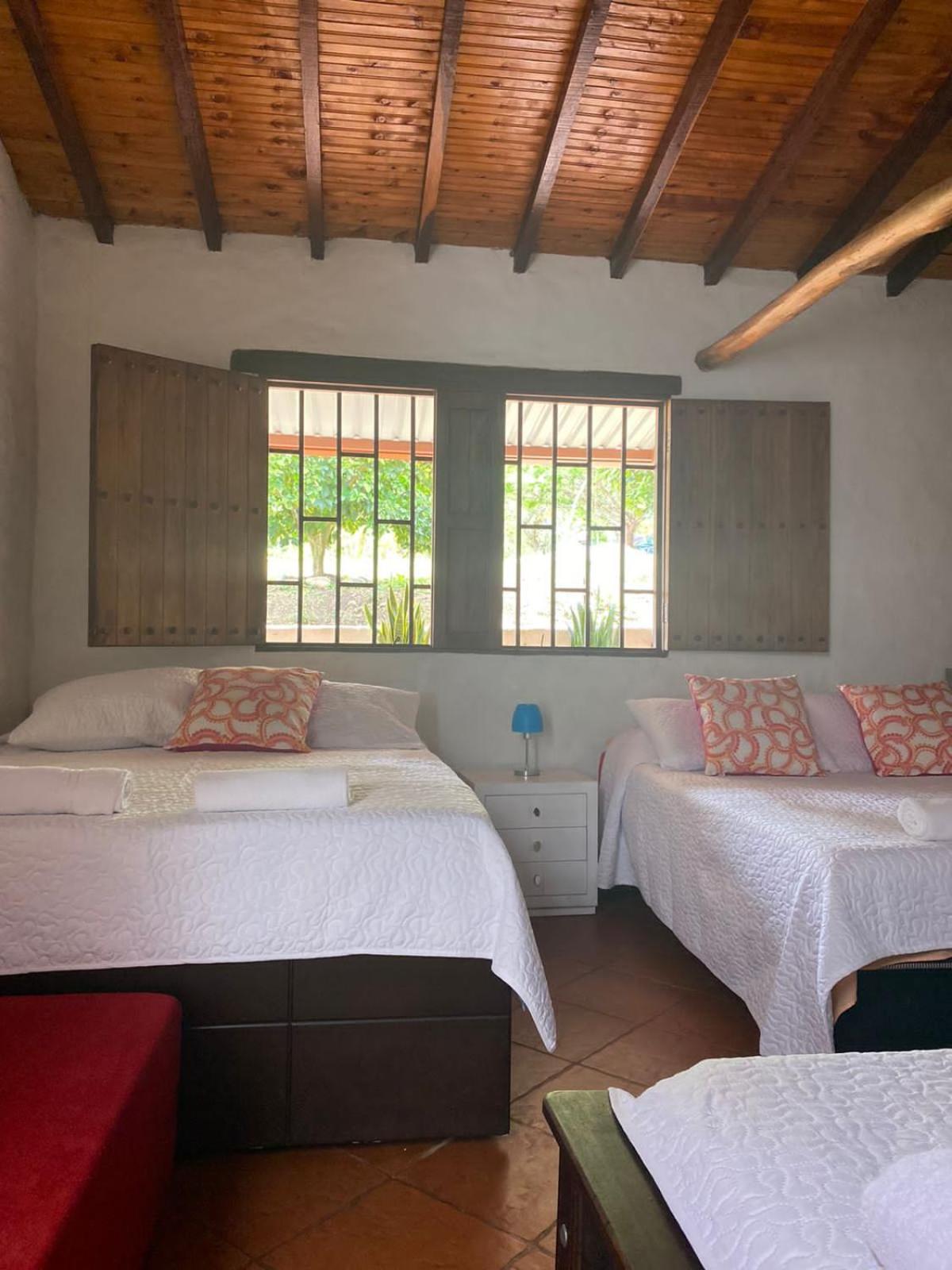 Villa tolu
