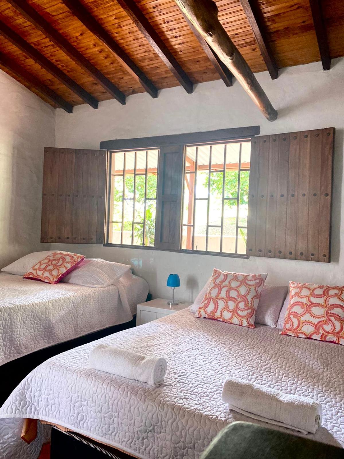 Villa tolu