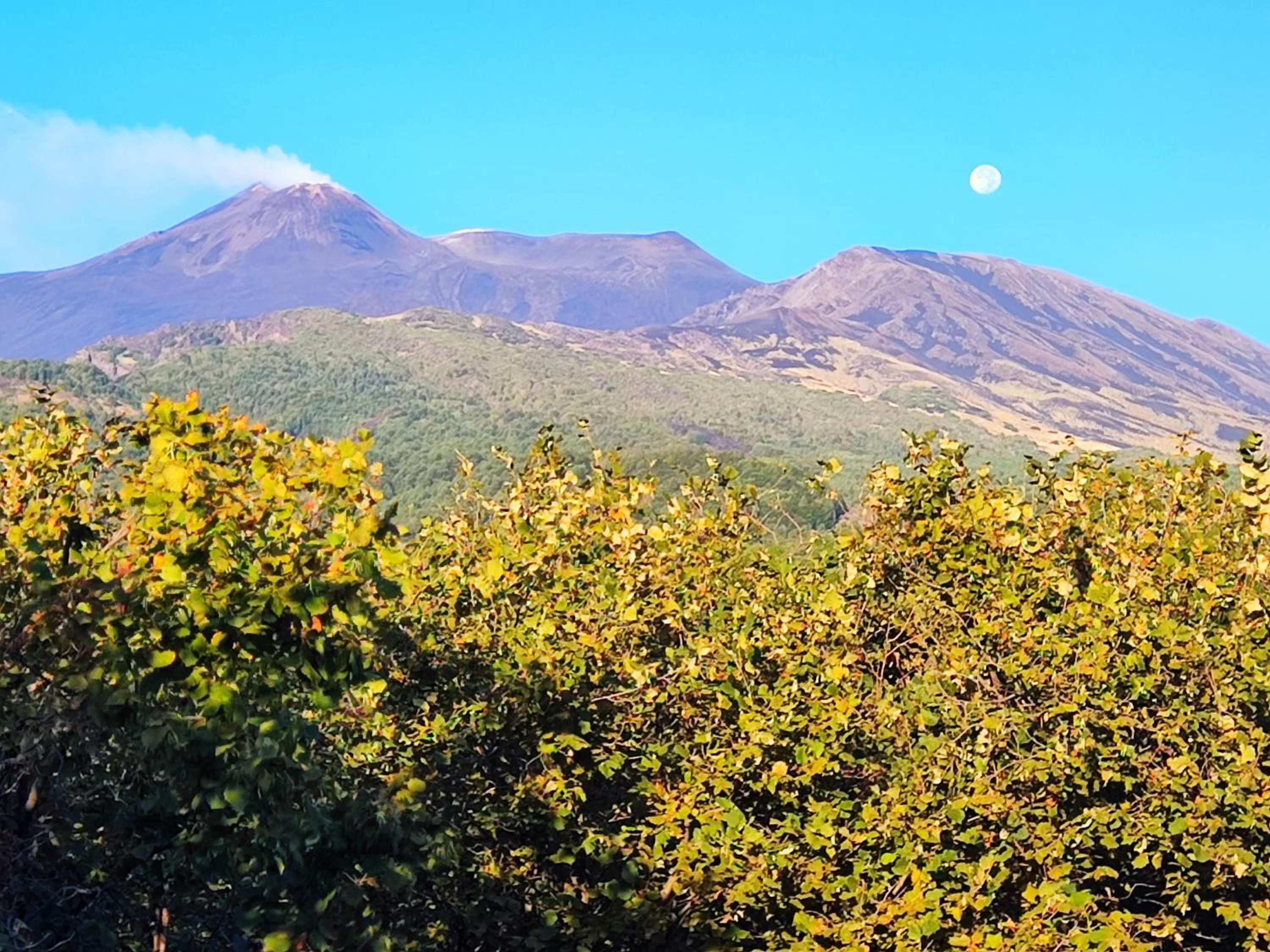 Feudo Magazzeni Etna