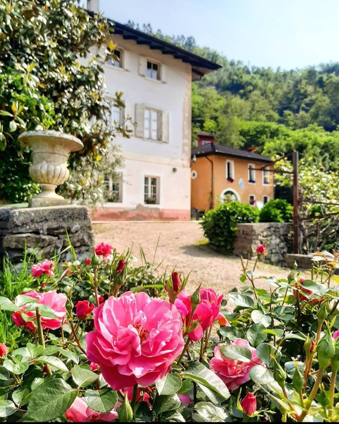 Agritur Cantina Romanese view 5
