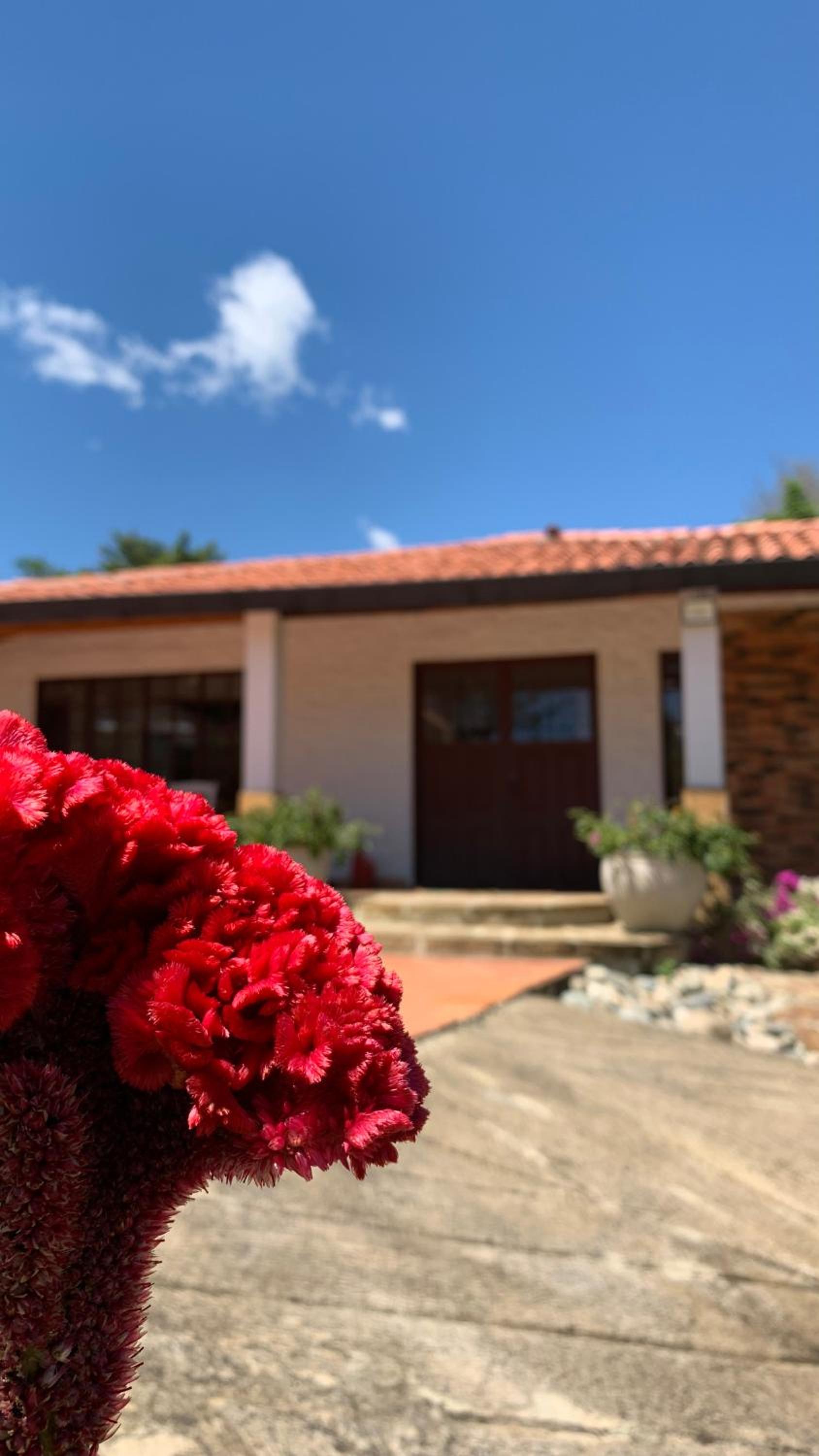 Villa tolu