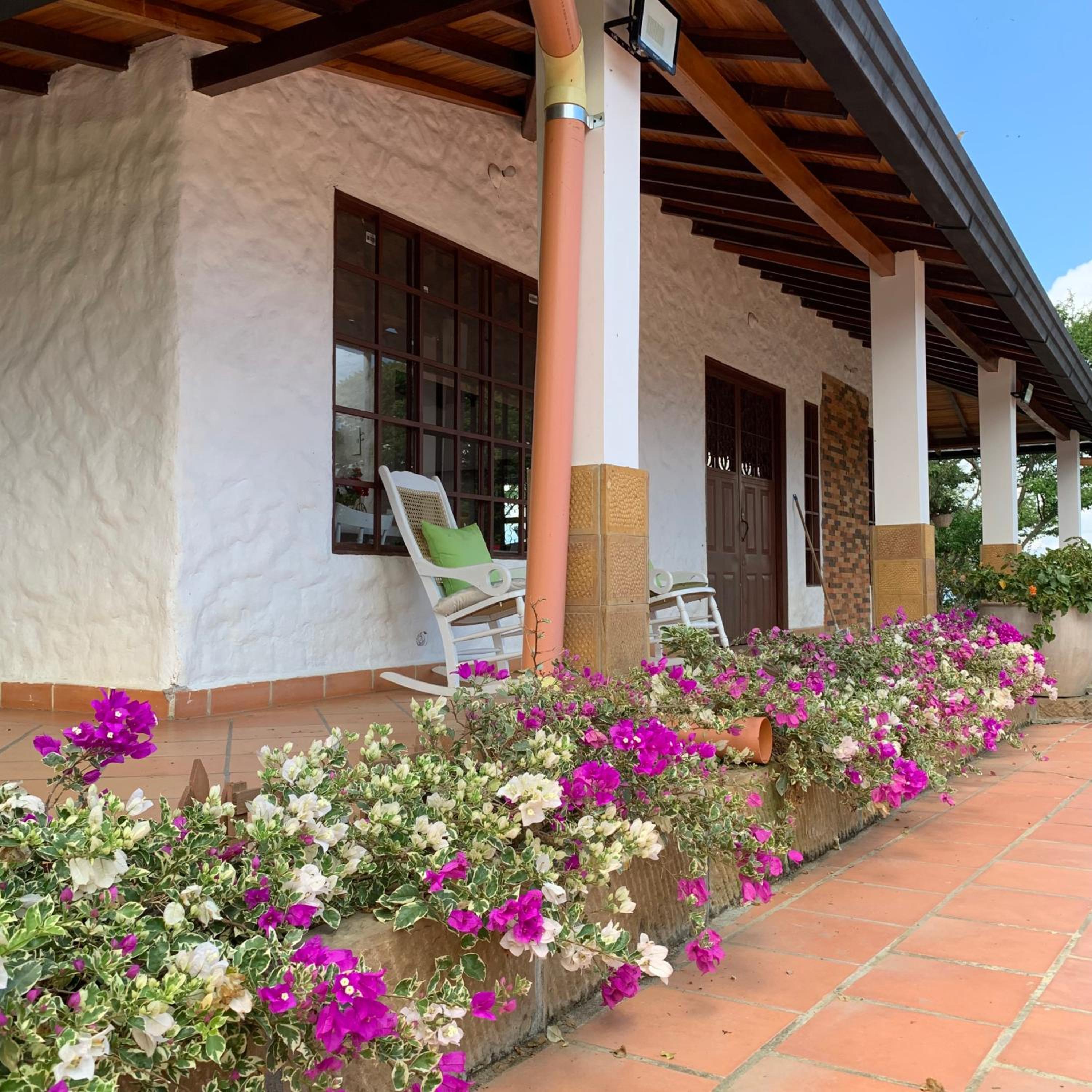 Villa tolu