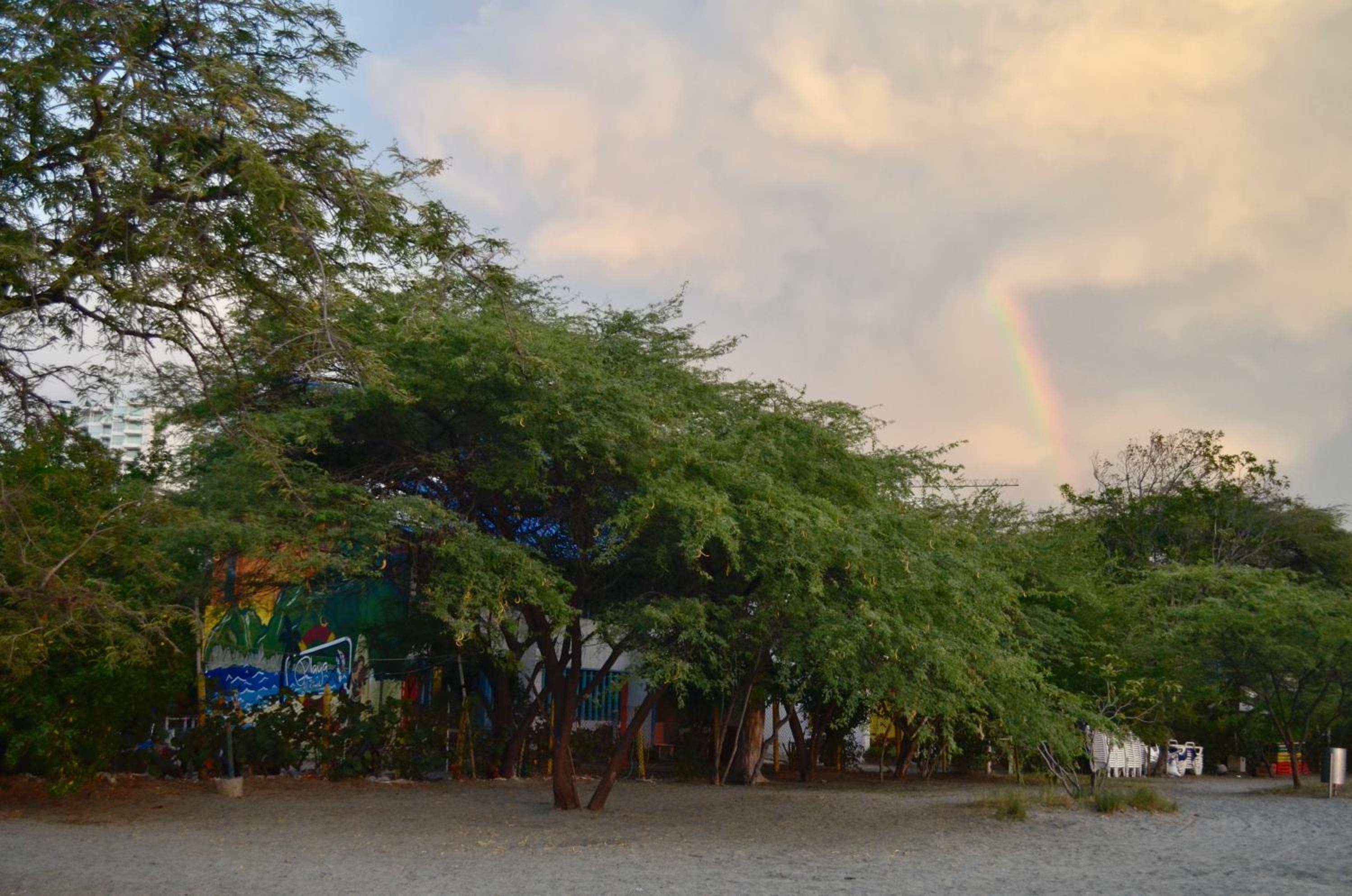 Playa del Ritmo Beach Hostel & Bar - Adults Only