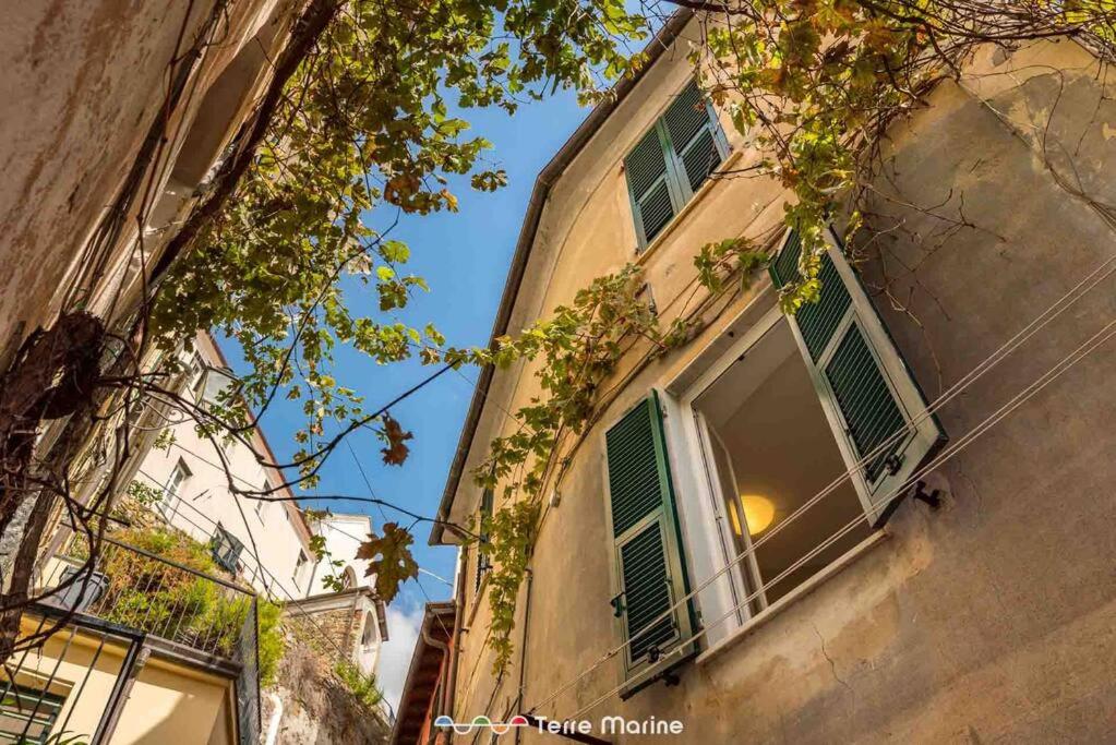 Il Profumo del Mosto, Terre Marine photo 3