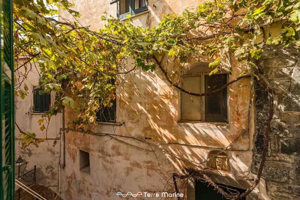 Il Profumo del Mosto, Terre Marine photo 2