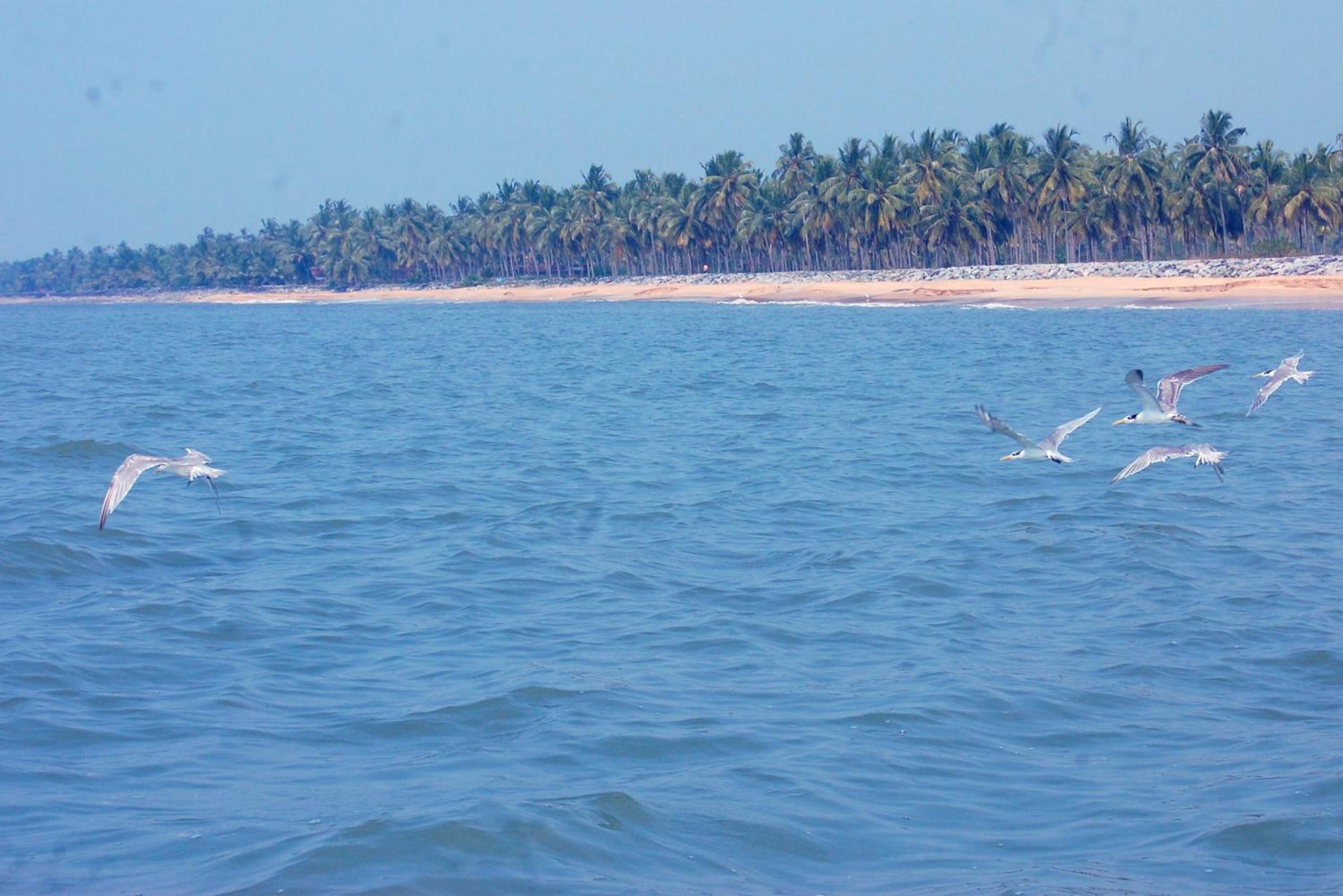 Photo 44