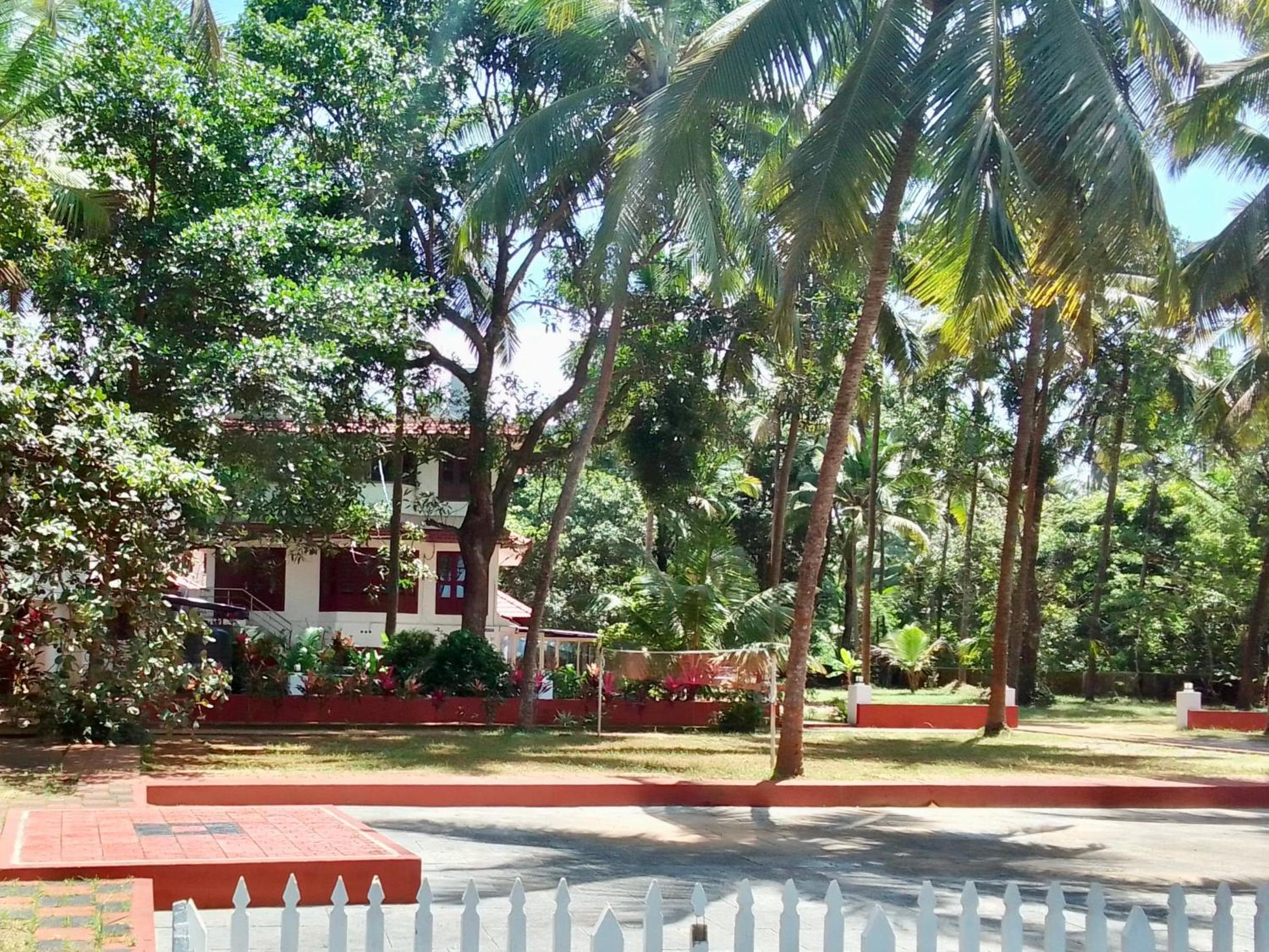 Photo 45