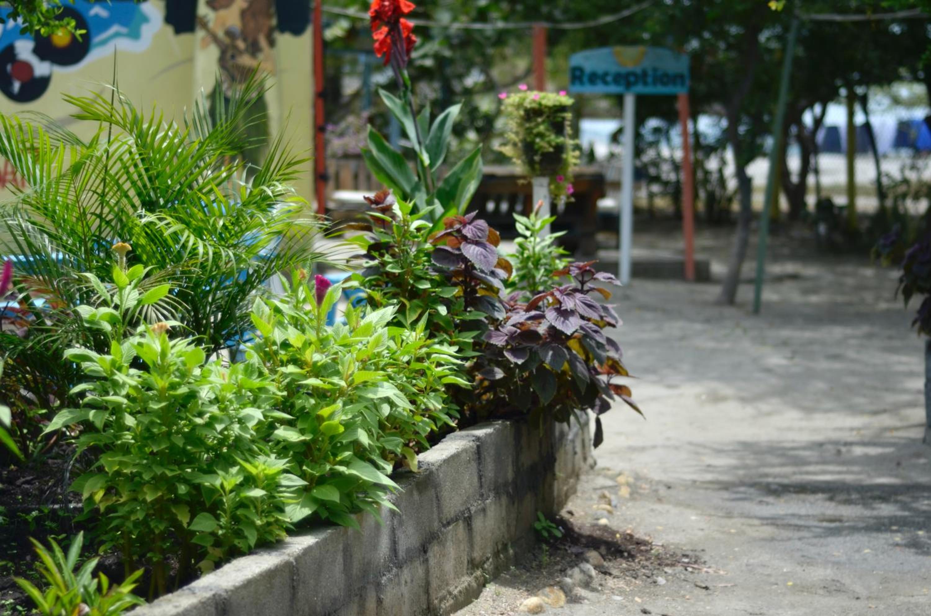 Playa del Ritmo Beach Hostel & Bar - Adults Only