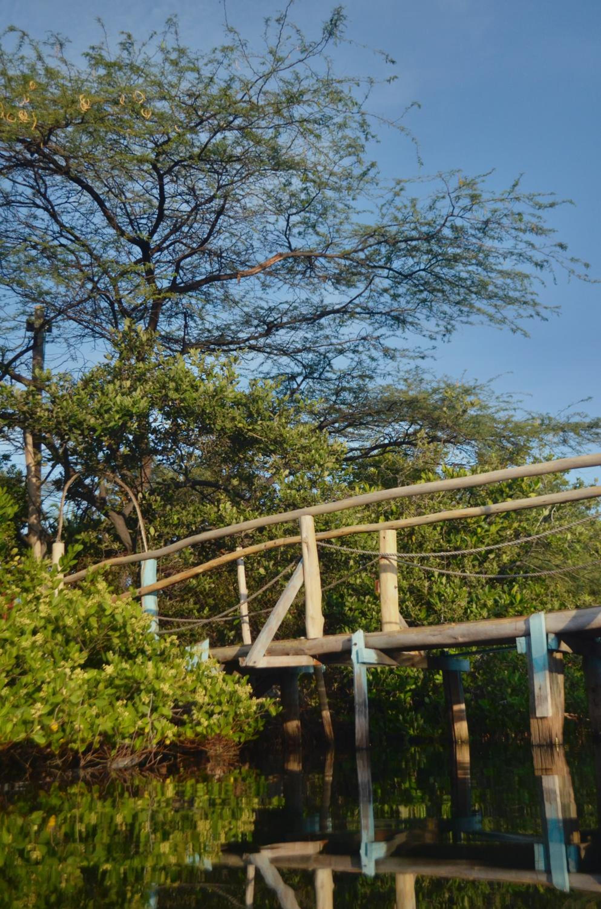 Playa del Ritmo Beach Hostel & Bar - Adults Only