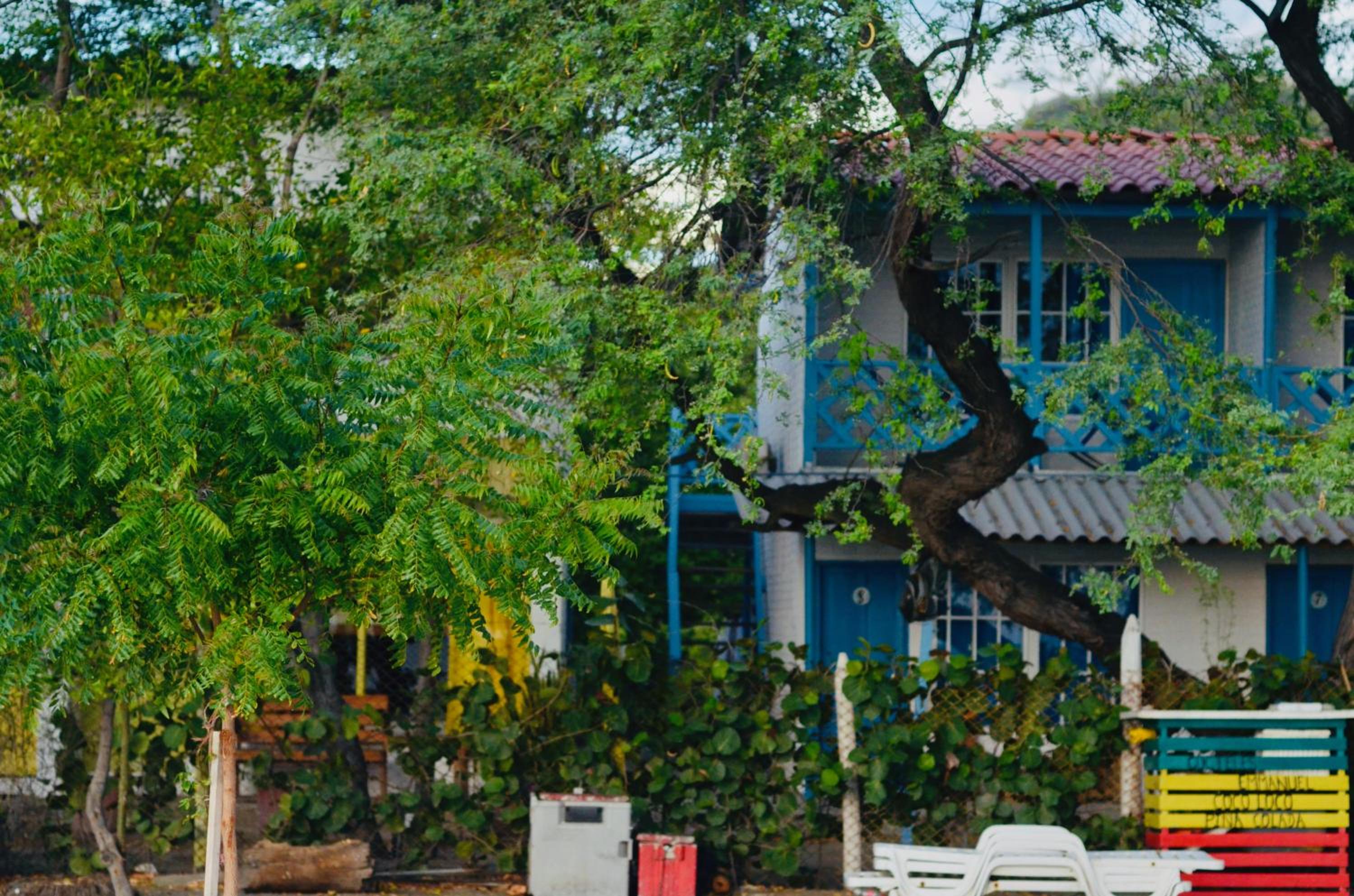 Playa del Ritmo Beach Hostel & Bar - Adults Only