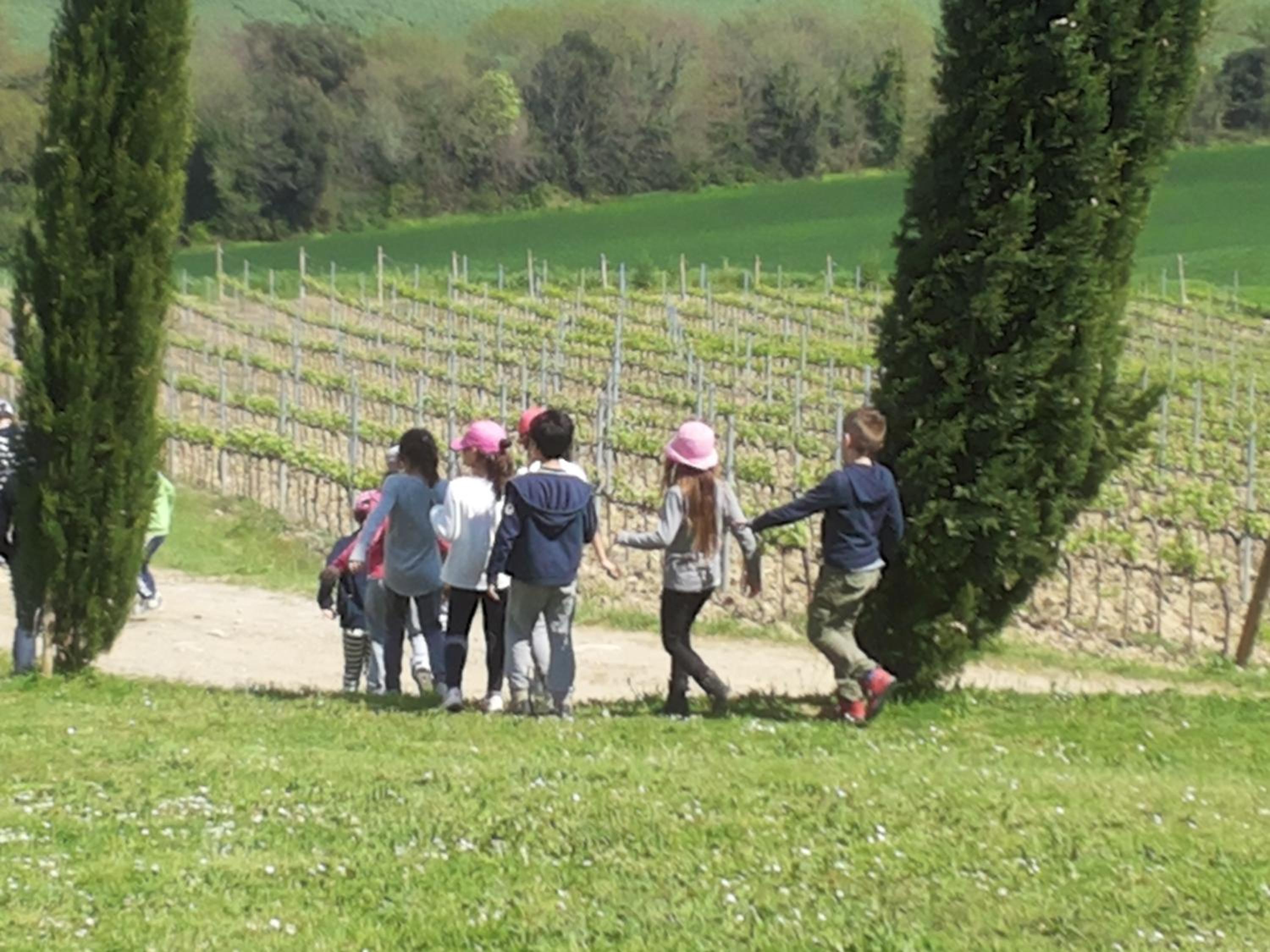 Agriturismo Cappellese