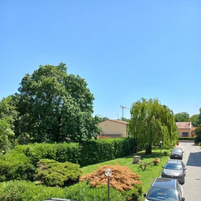 Da Francesco photo 5