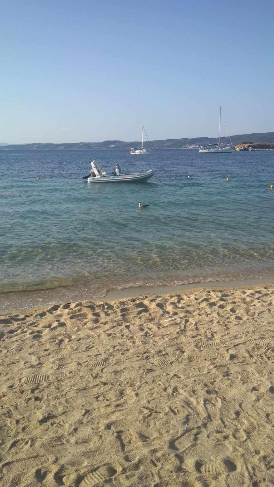 Small Home in Nea Kallikratia photo 4