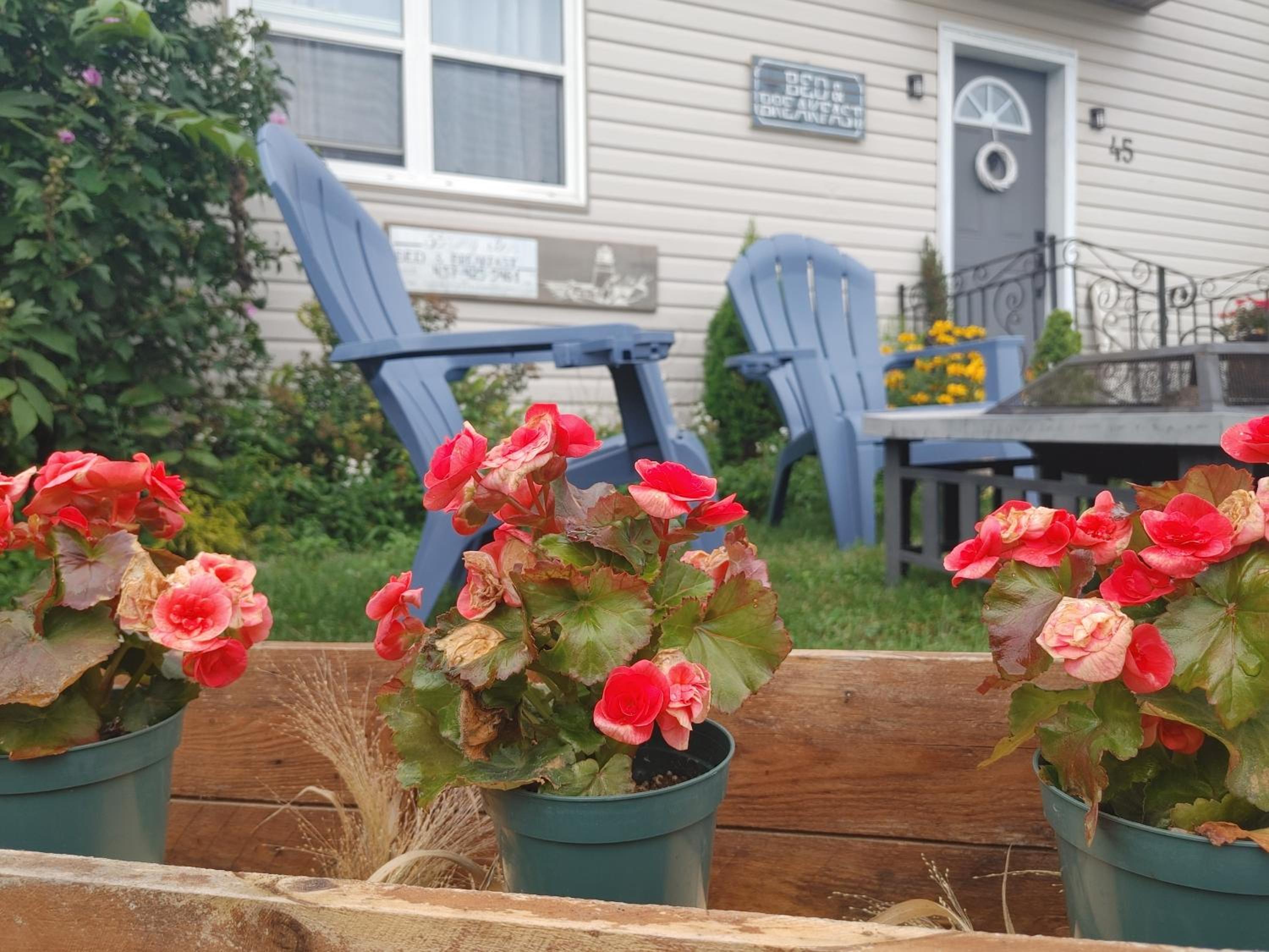 La Plage Port B. Luxury Inn - Bed and Breakfast