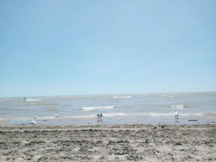 La Plage Port B. Luxury Inn - Bed and Breakfast