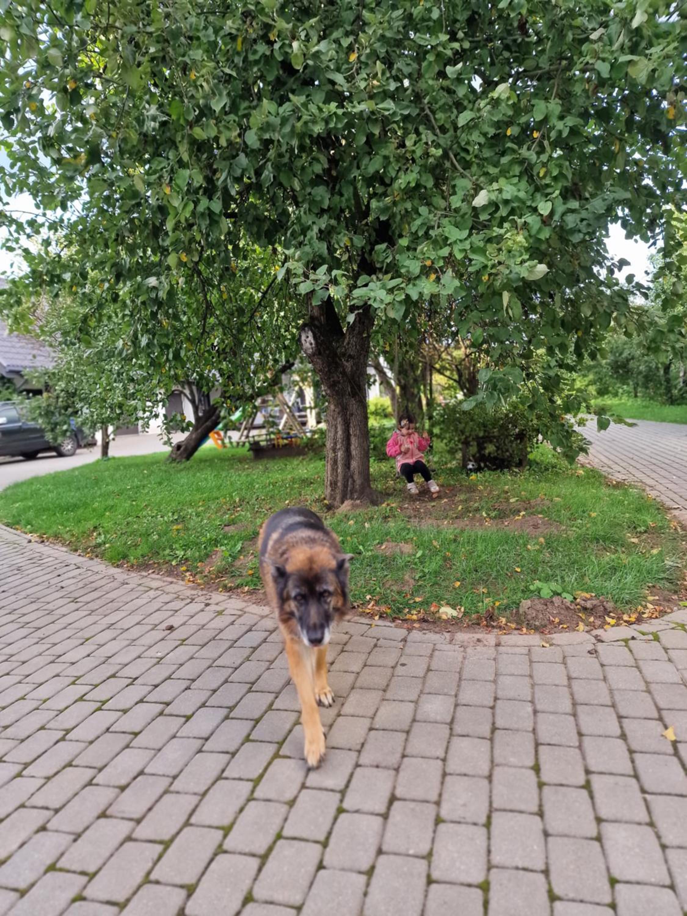 Photo 29