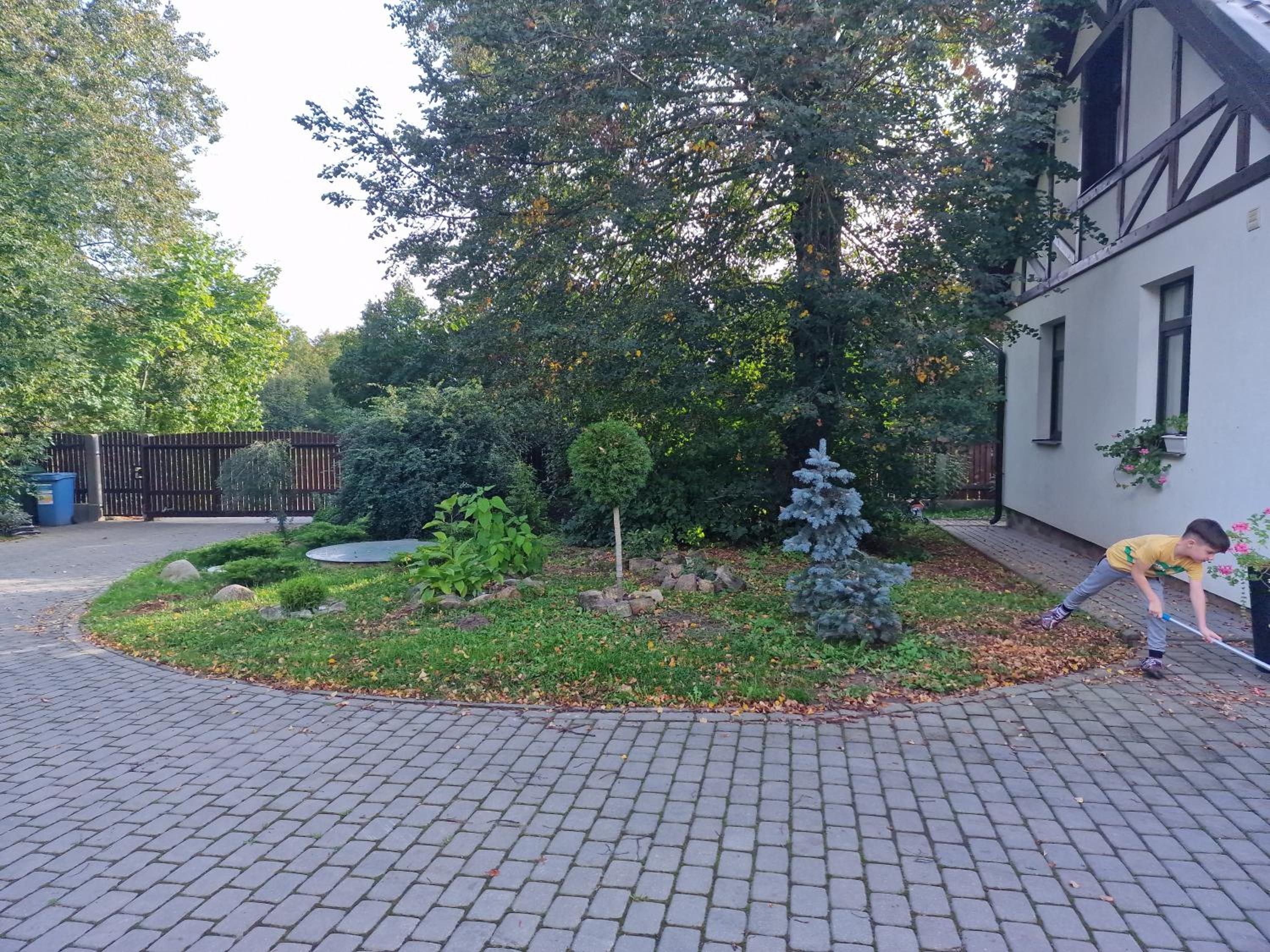 Photo 31