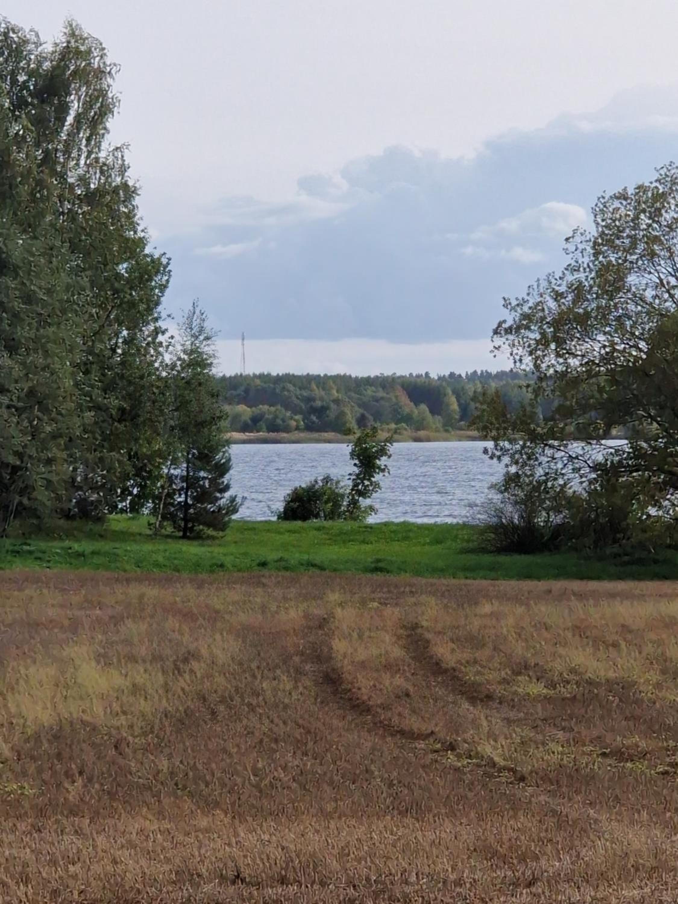 Photo 44