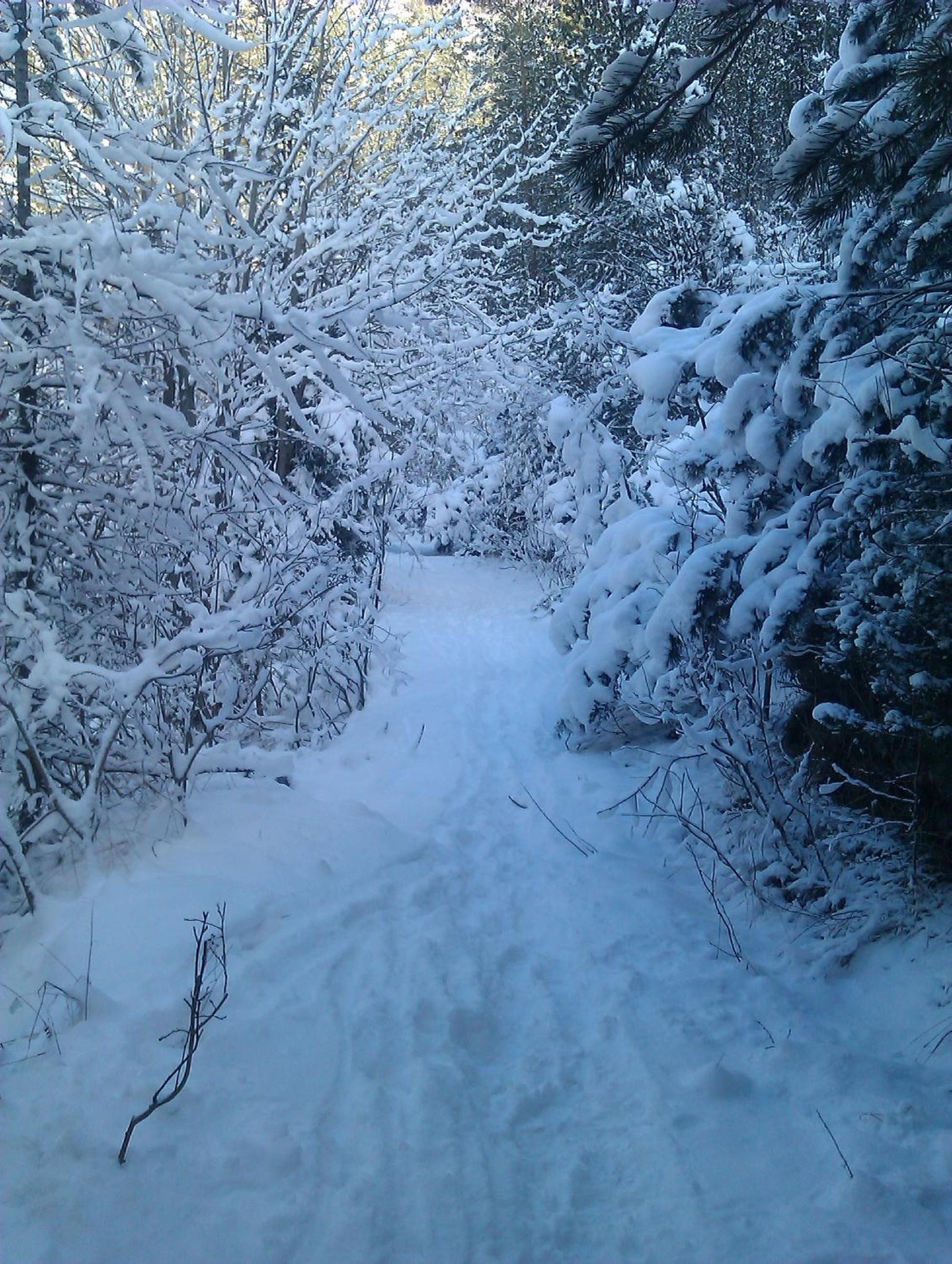 Photo 16