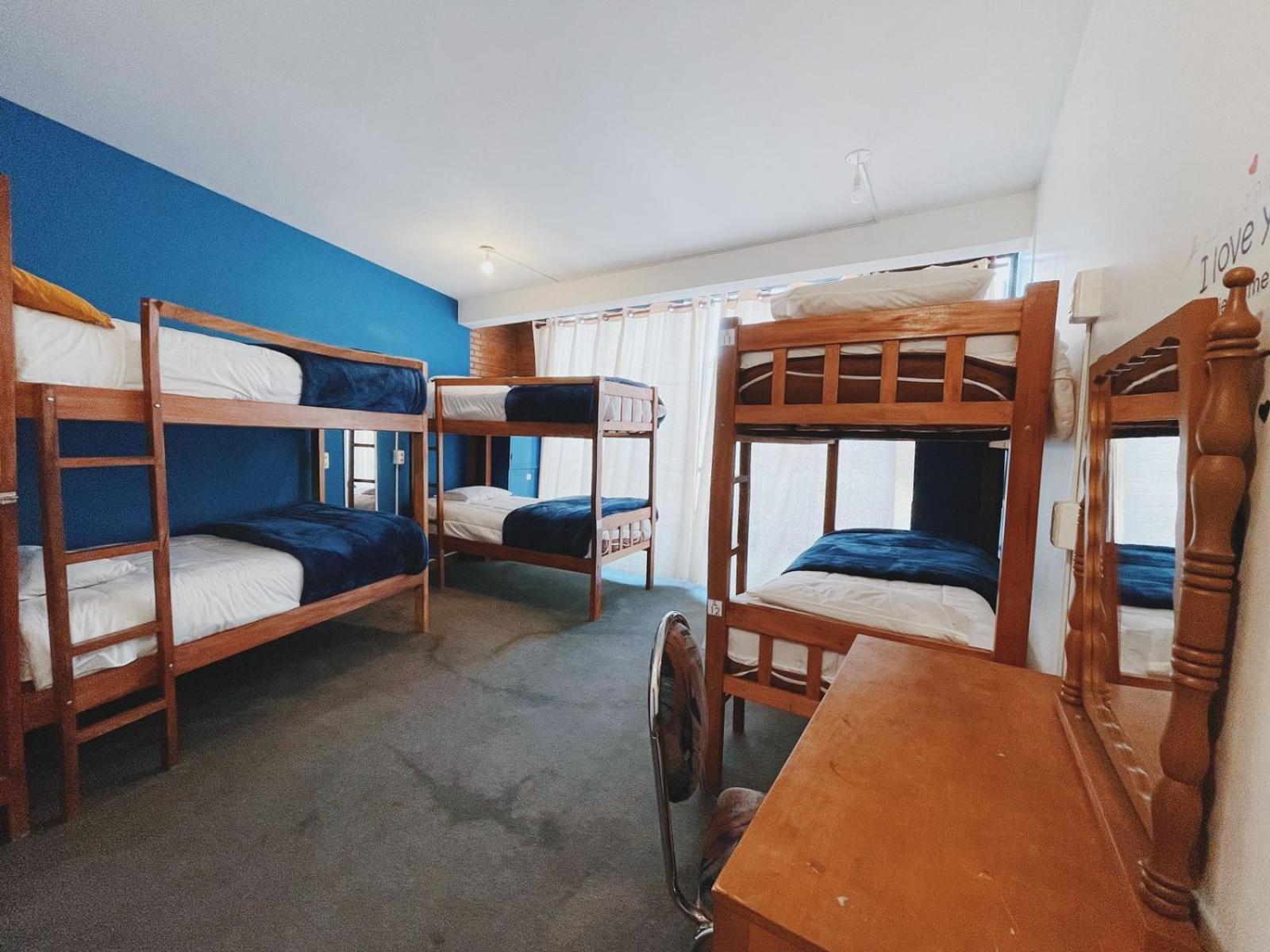 Lobo Hostel La Paz