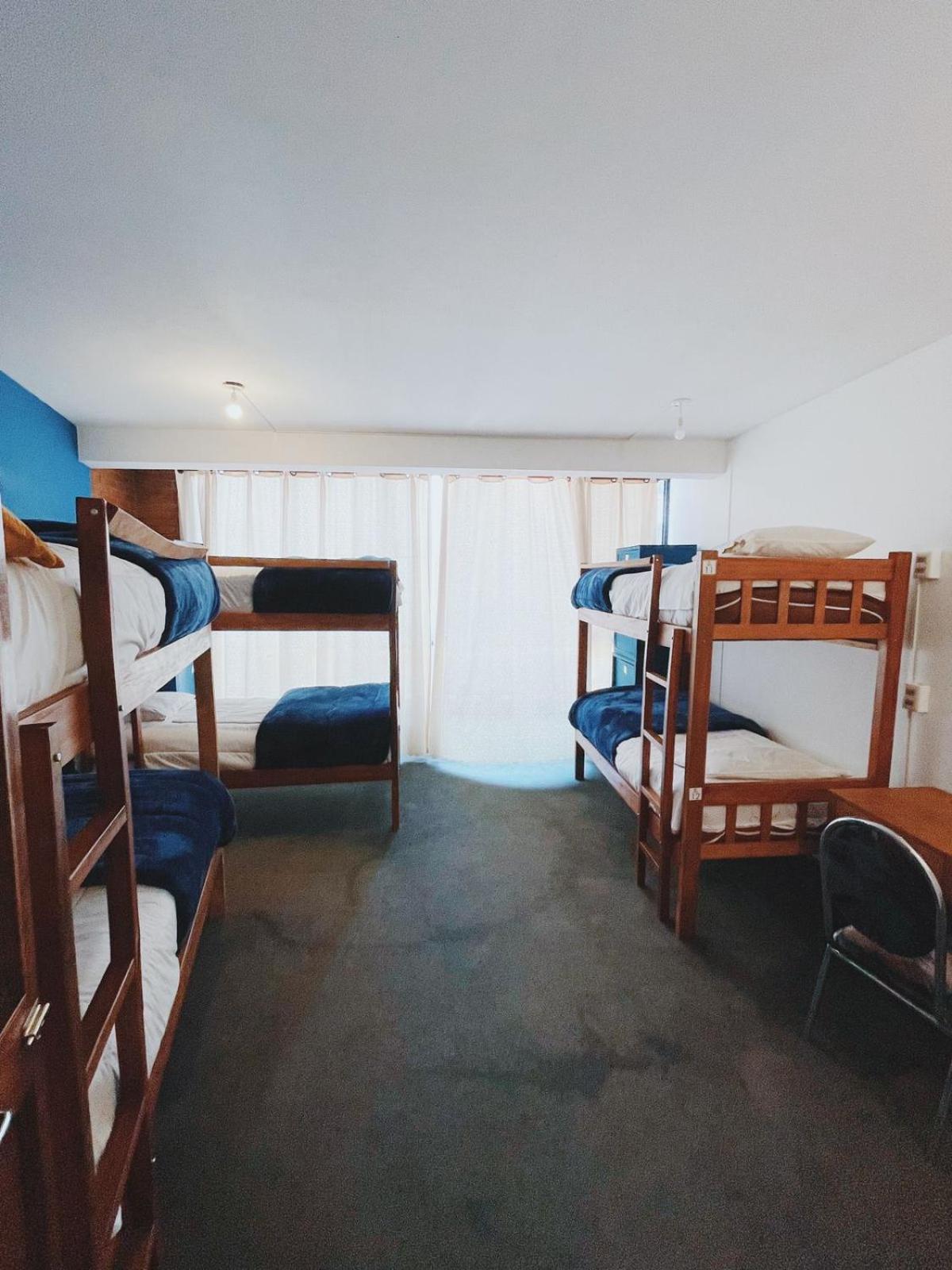 Lobo Hostel La Paz