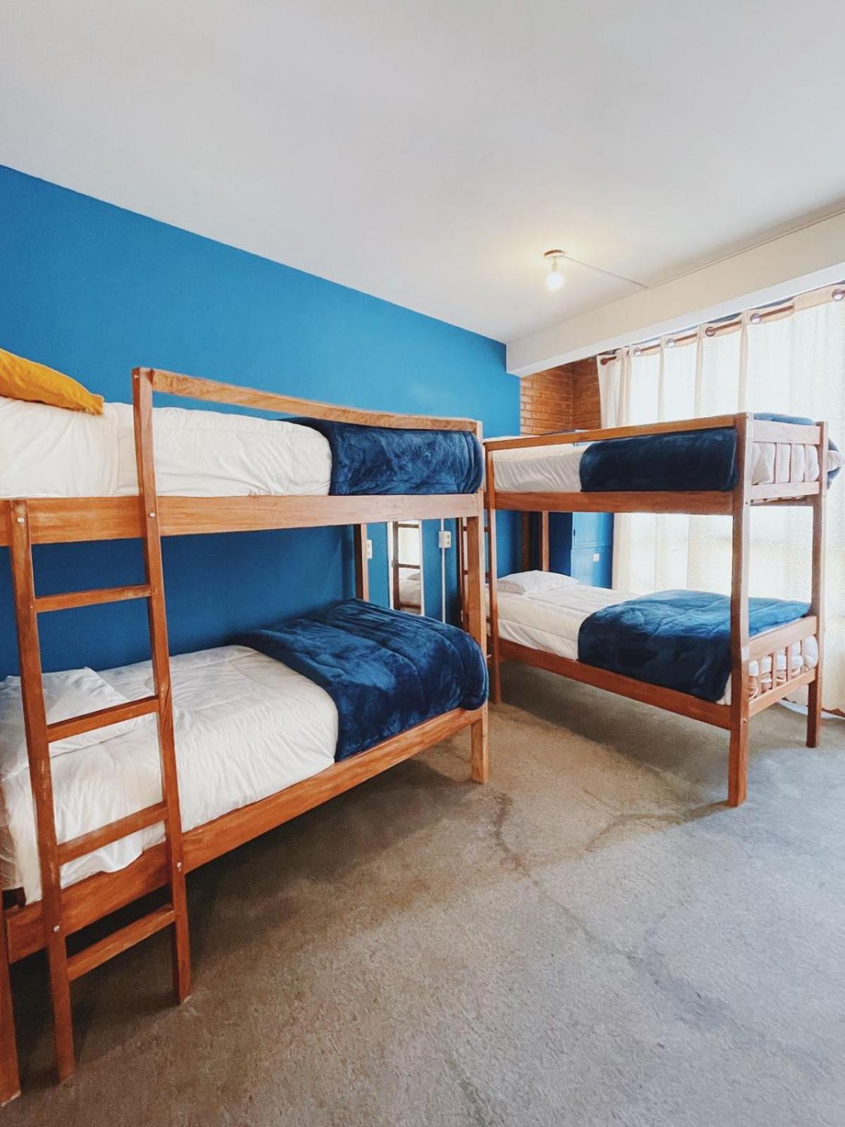 Lobo Hostel La Paz