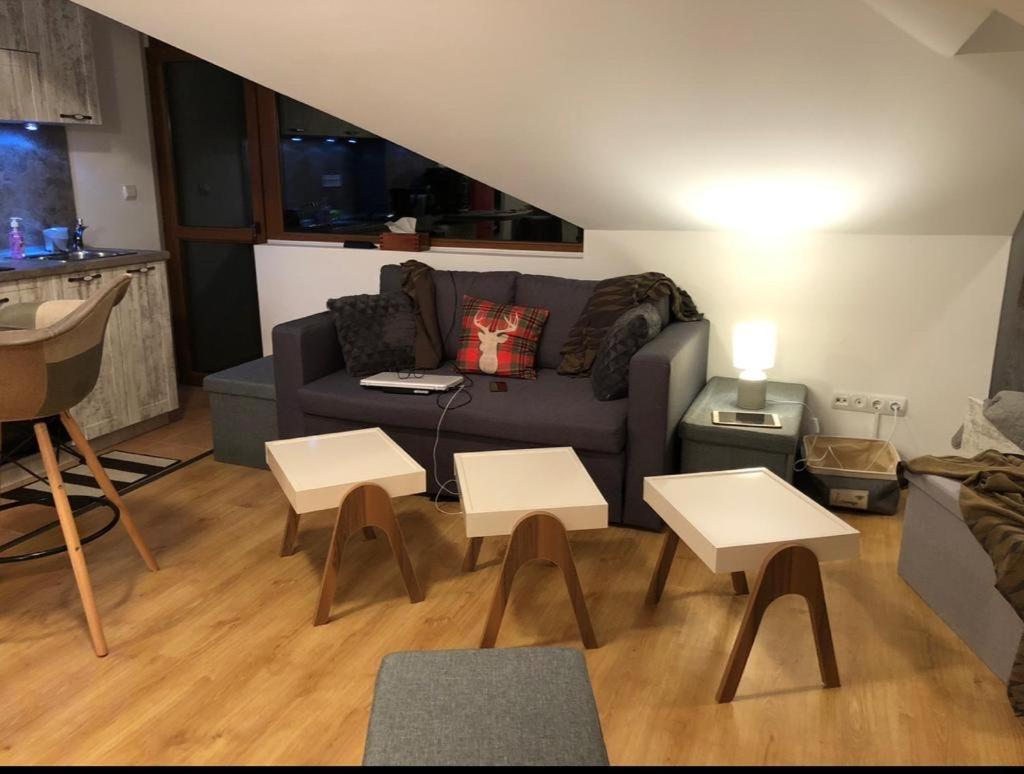 Cozy Studio at The Castle - Pamporovo